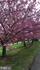 THORNCROFT WOODS - Residential