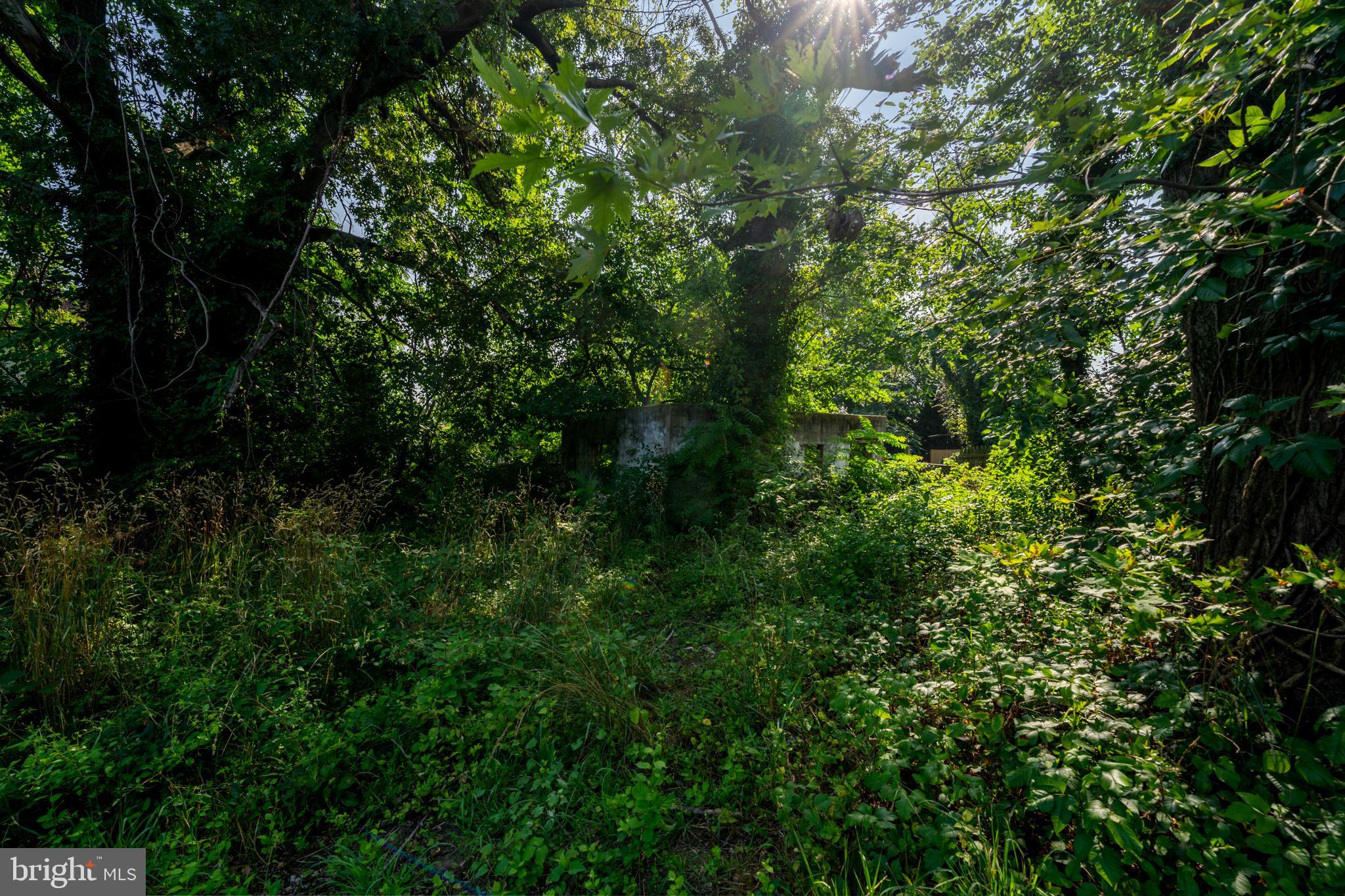 MORELL PARK - Land