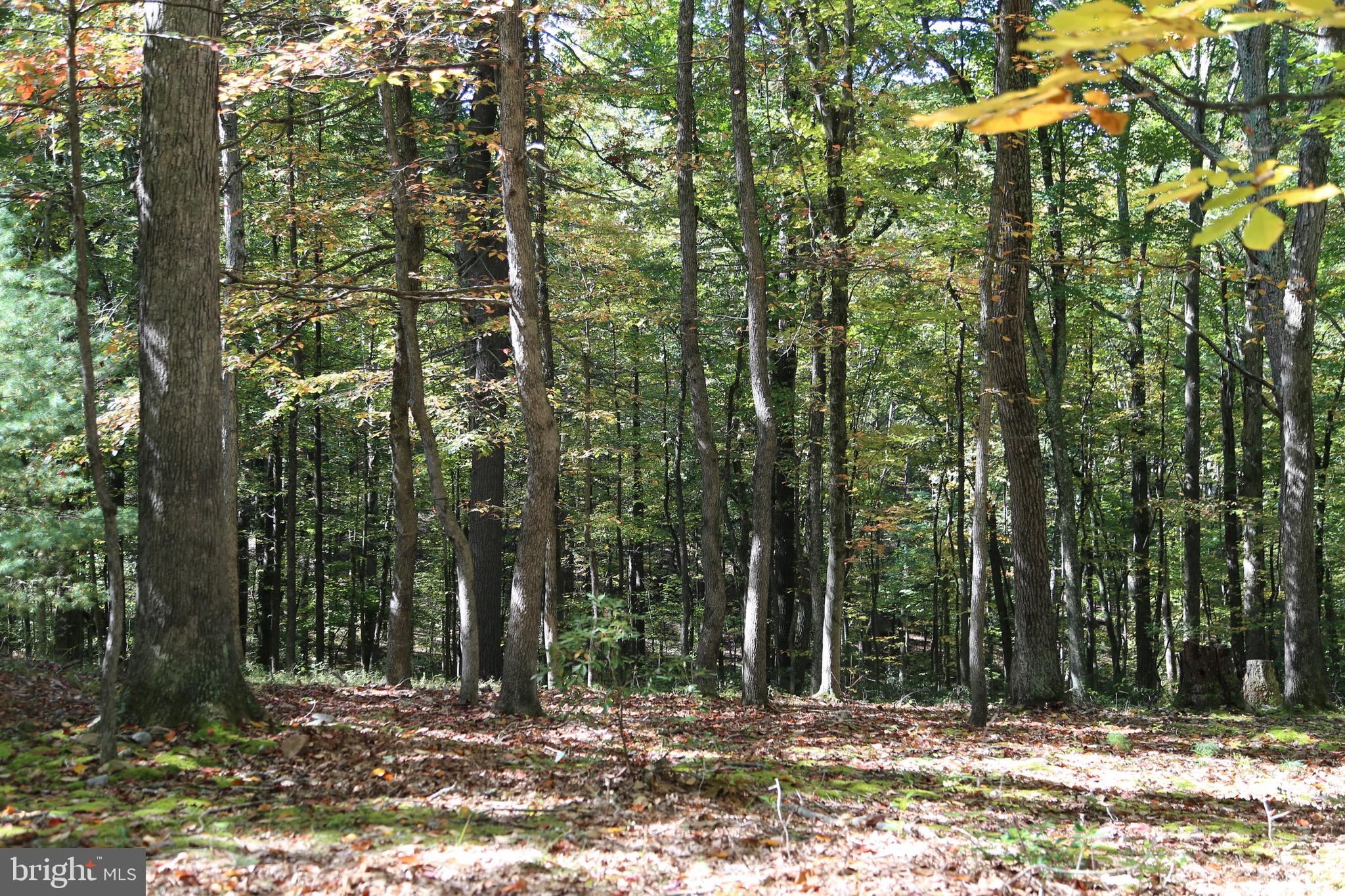 SHORT MOUNTAIN VILLAGE - Residential