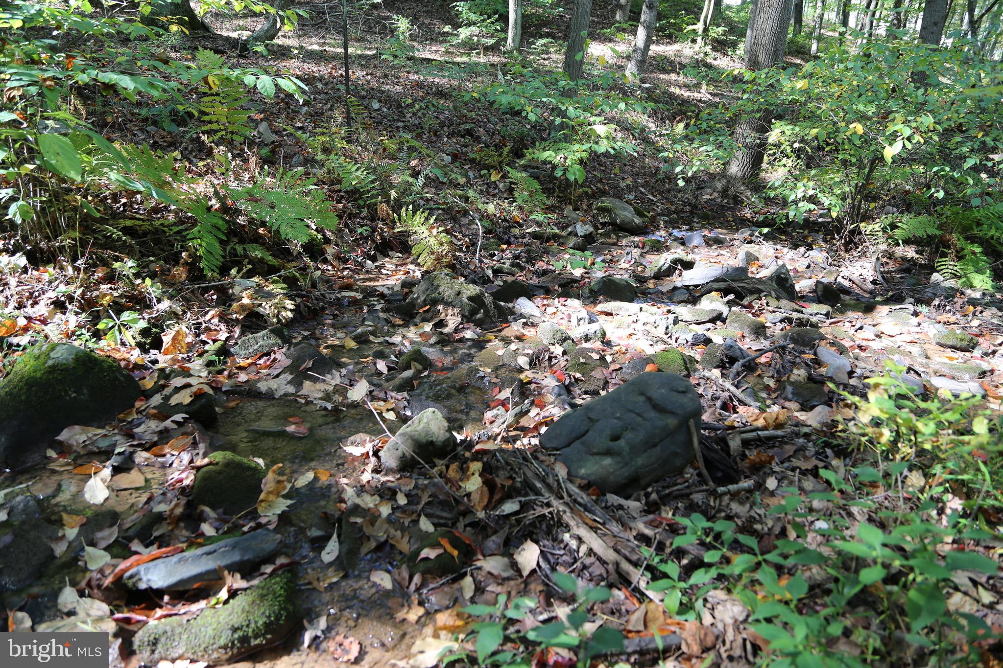 SHORT MOUNTAIN VILLAGE - Residential