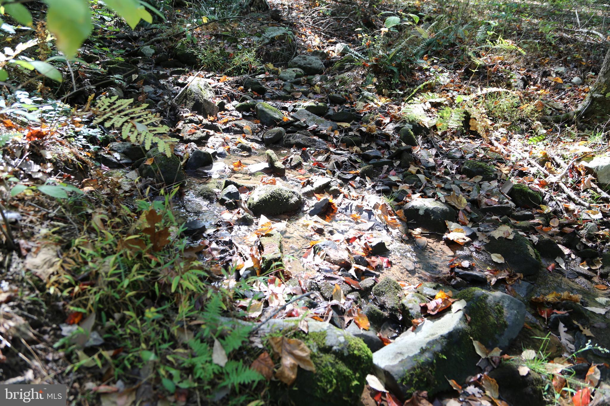 SHORT MOUNTAIN VILLAGE - Residential