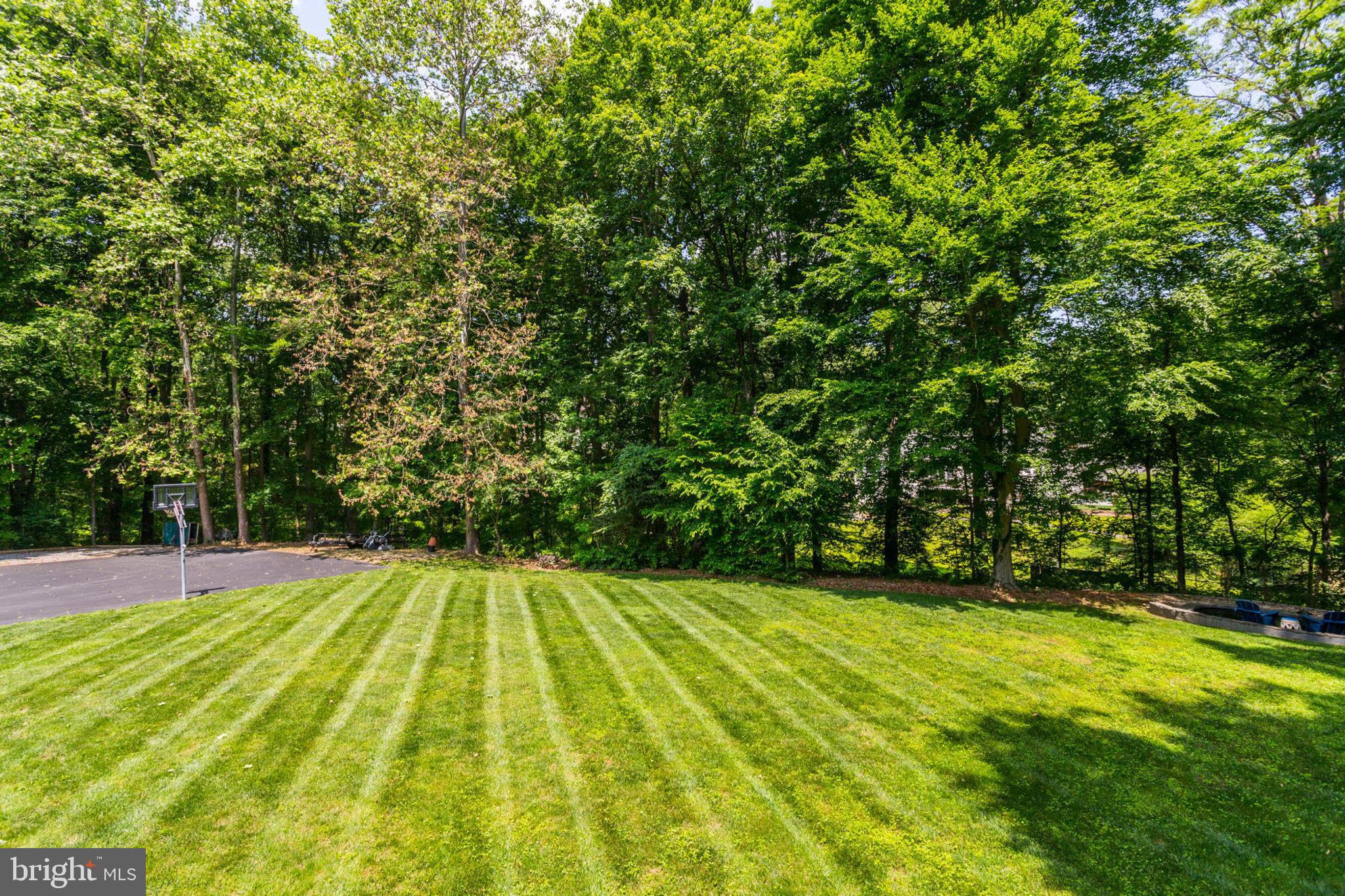 THE DOWNS - Residential