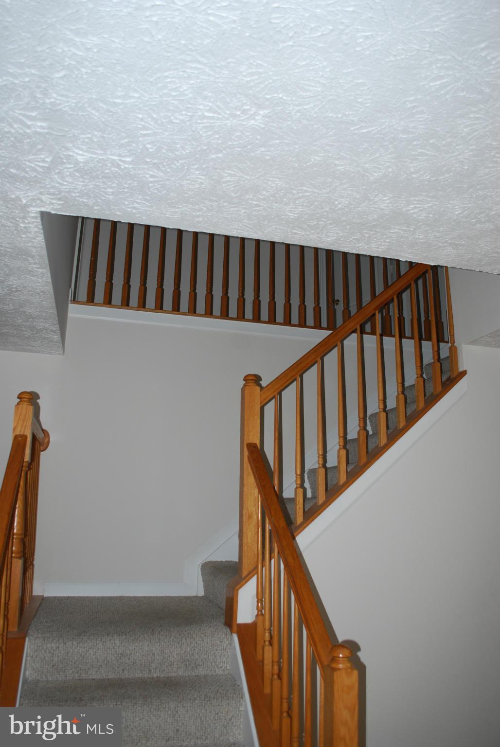 ST CHARLES SUB - DORCHESTER - Residential