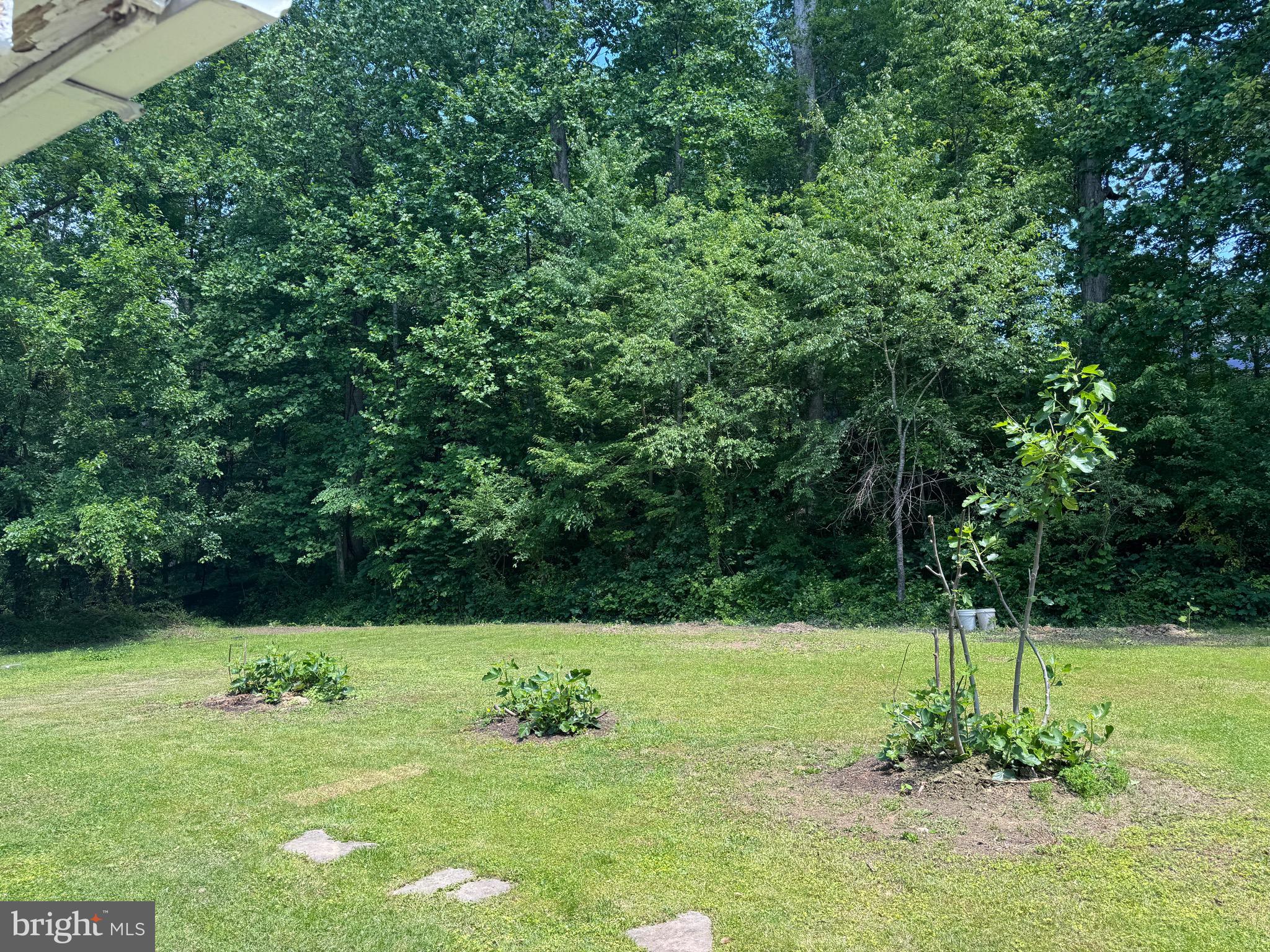 3901 GLENBROOK ROAD