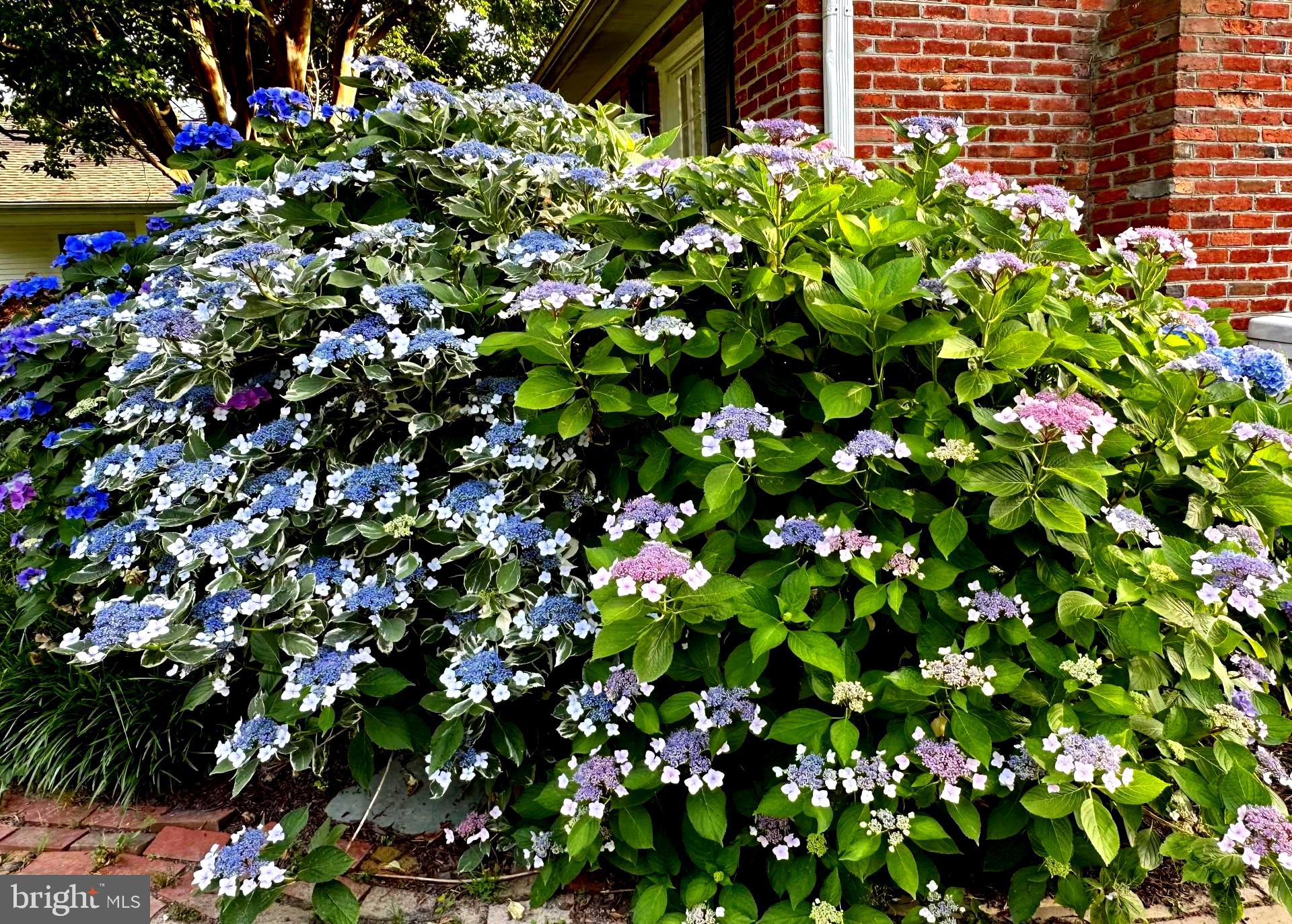 QUEEN ANNE COLONY - Residential