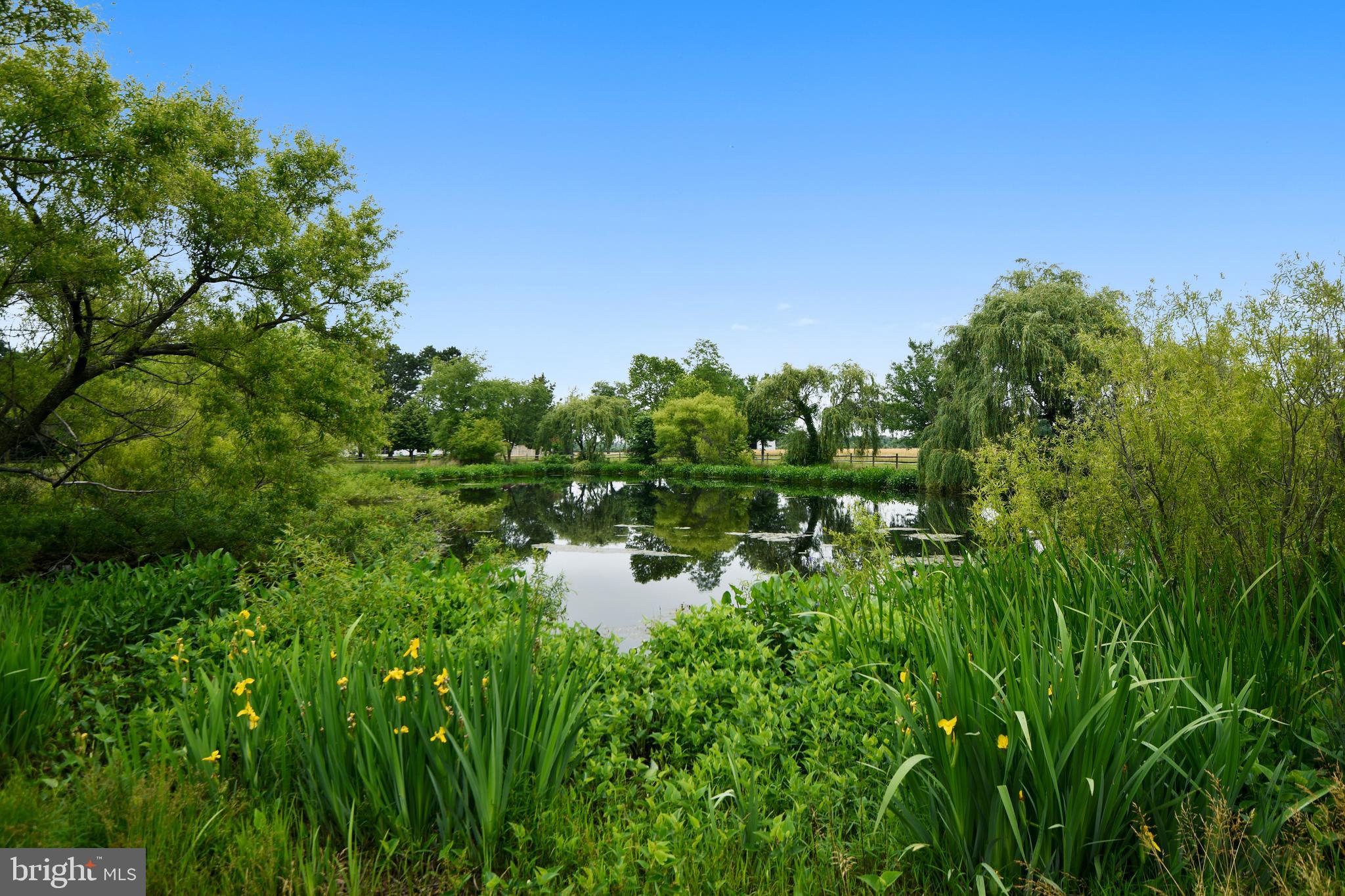 QUEEN ANNE COLONY - Residential