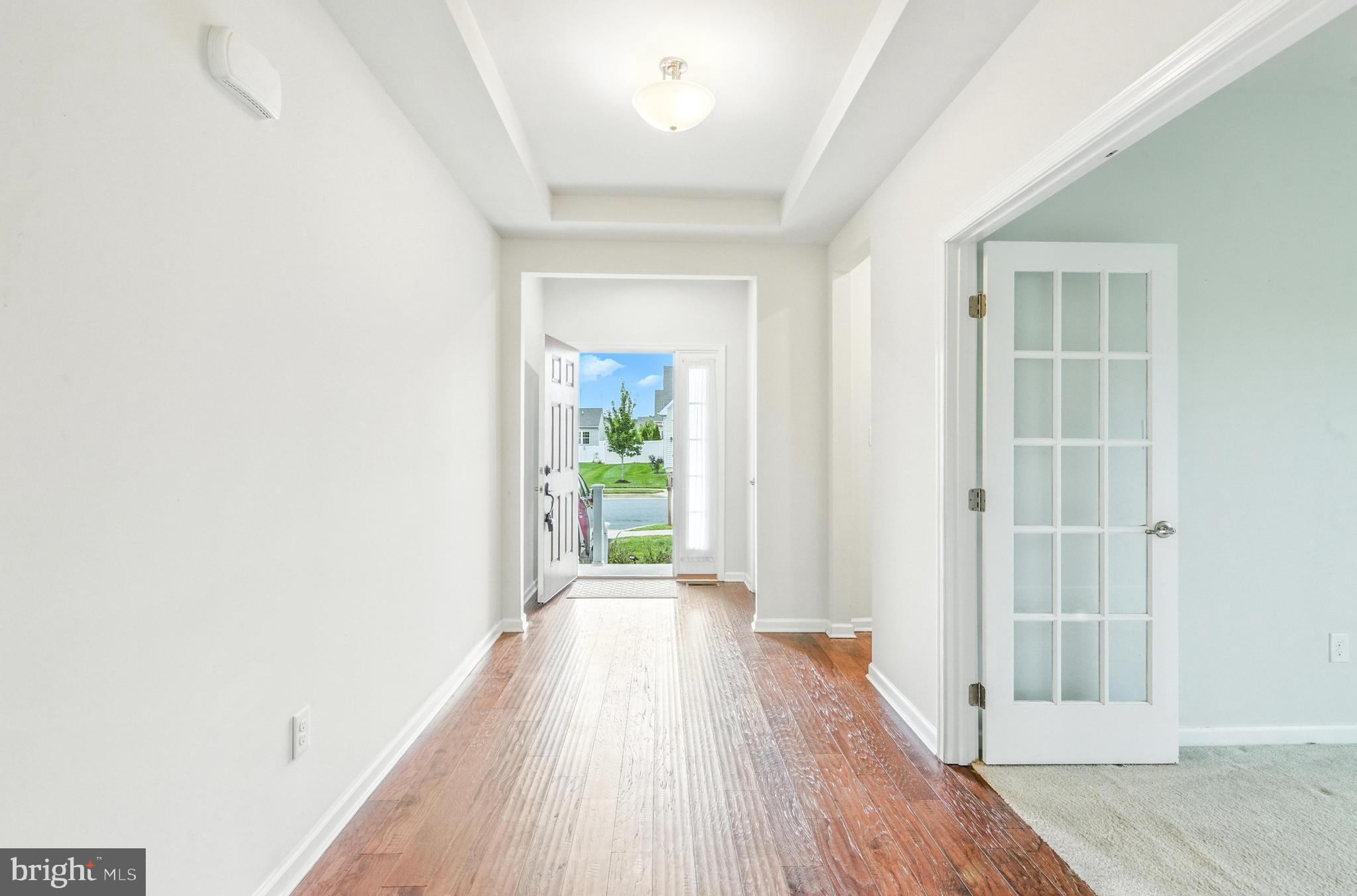77 CLIMBING VINE AVENUE