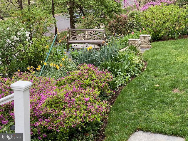 CHEVY CHASE - Residential