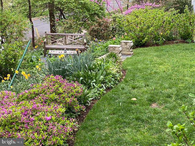 CHEVY CHASE - Residential