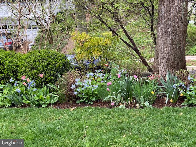 CHEVY CHASE - Residential