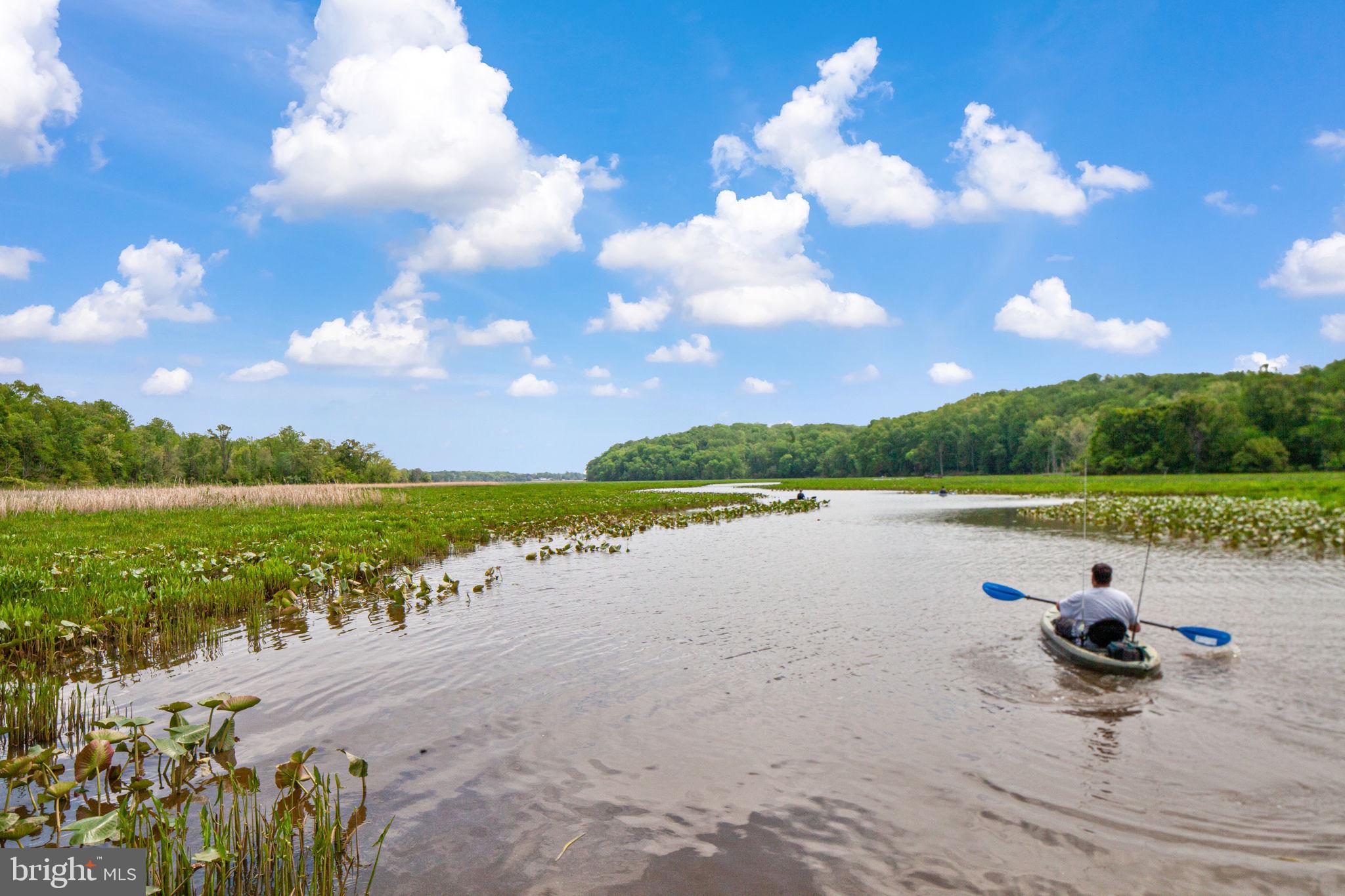 POPLAR HILLS - Residential