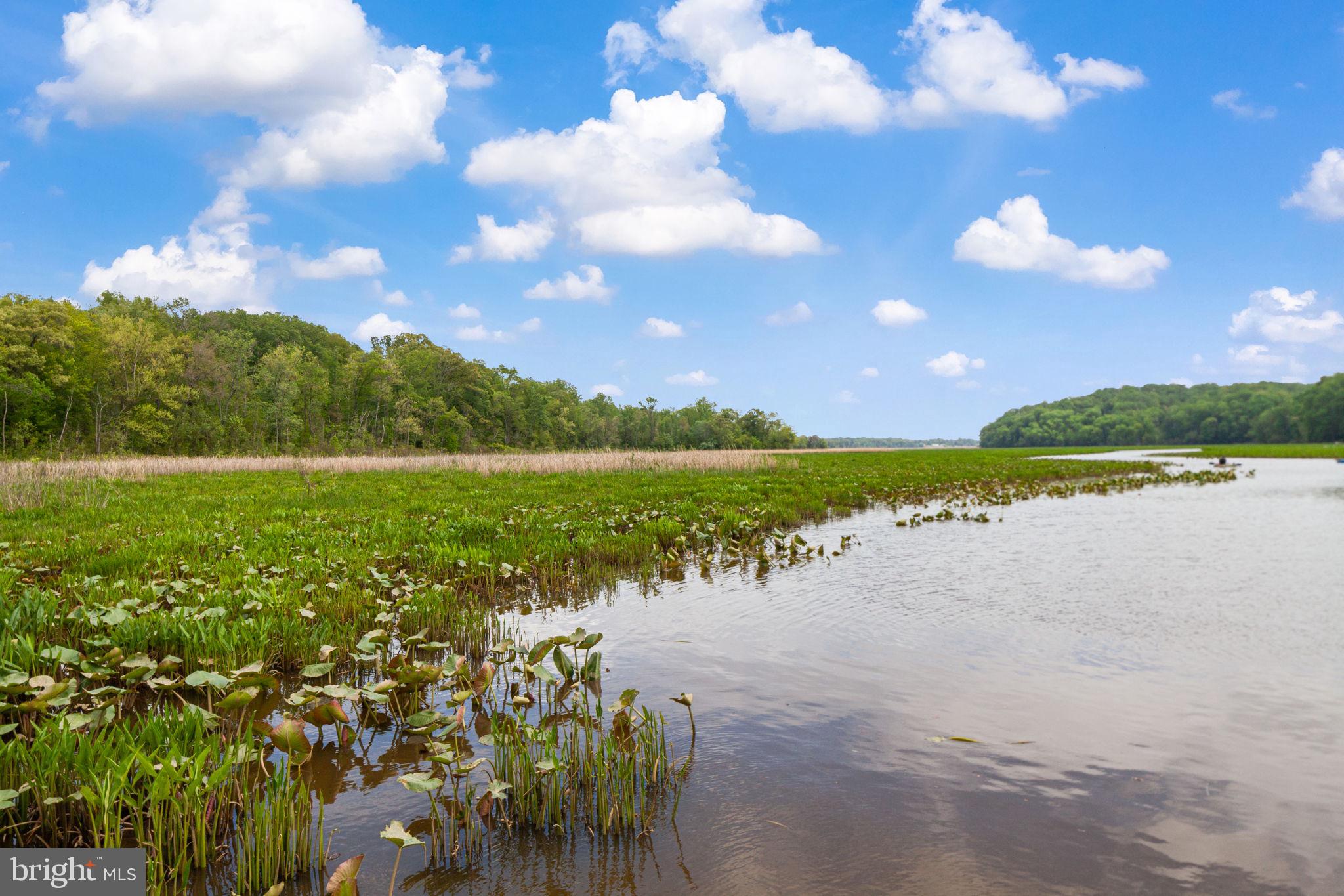 POPLAR HILLS - Residential