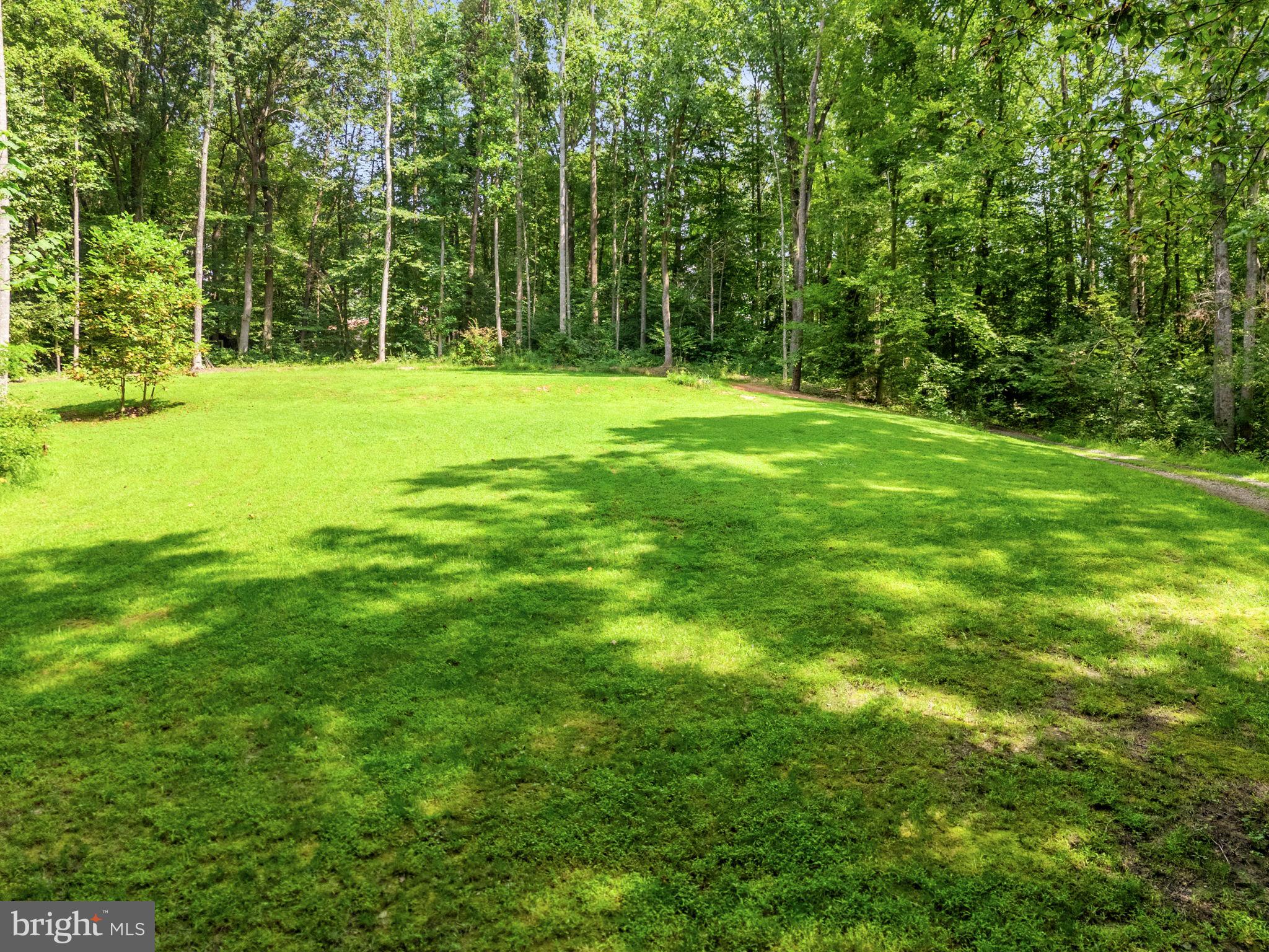 BEAR TREE COVE - Residential