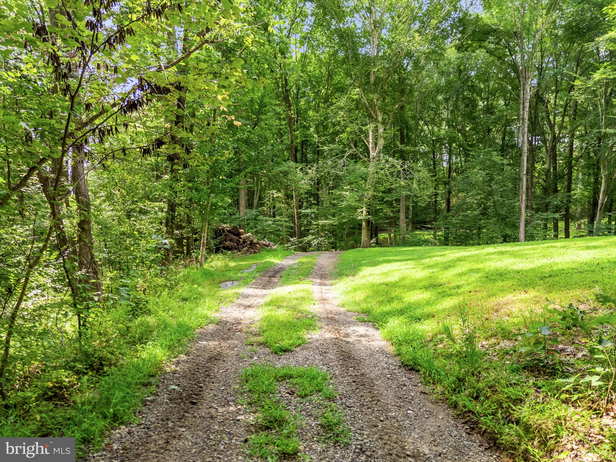 BEAR TREE COVE - Residential
