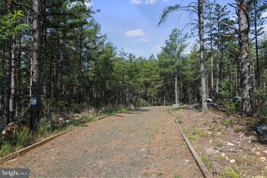 Ready to build your dream home or a weekend retreat or own land to see all kinds of wildlife including turkey, deer, bear and more?  Its right here!! 25 acres of wooded and flat land.   Recreation at its best from hiking to hunting to relaxation to Home Sweet Home in Yellow Spring. Located in Hampshire County and close to main interstates for your commute.  Gated community and easy access at its best!  Come see what this private property in the Appalachian Mountains has to offer!