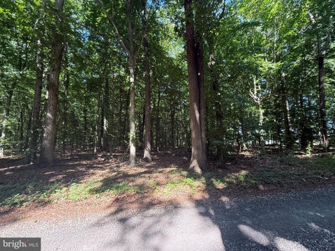 Vacant Land For Sale - Church Lane<br/> CORDOVA, MD 21625