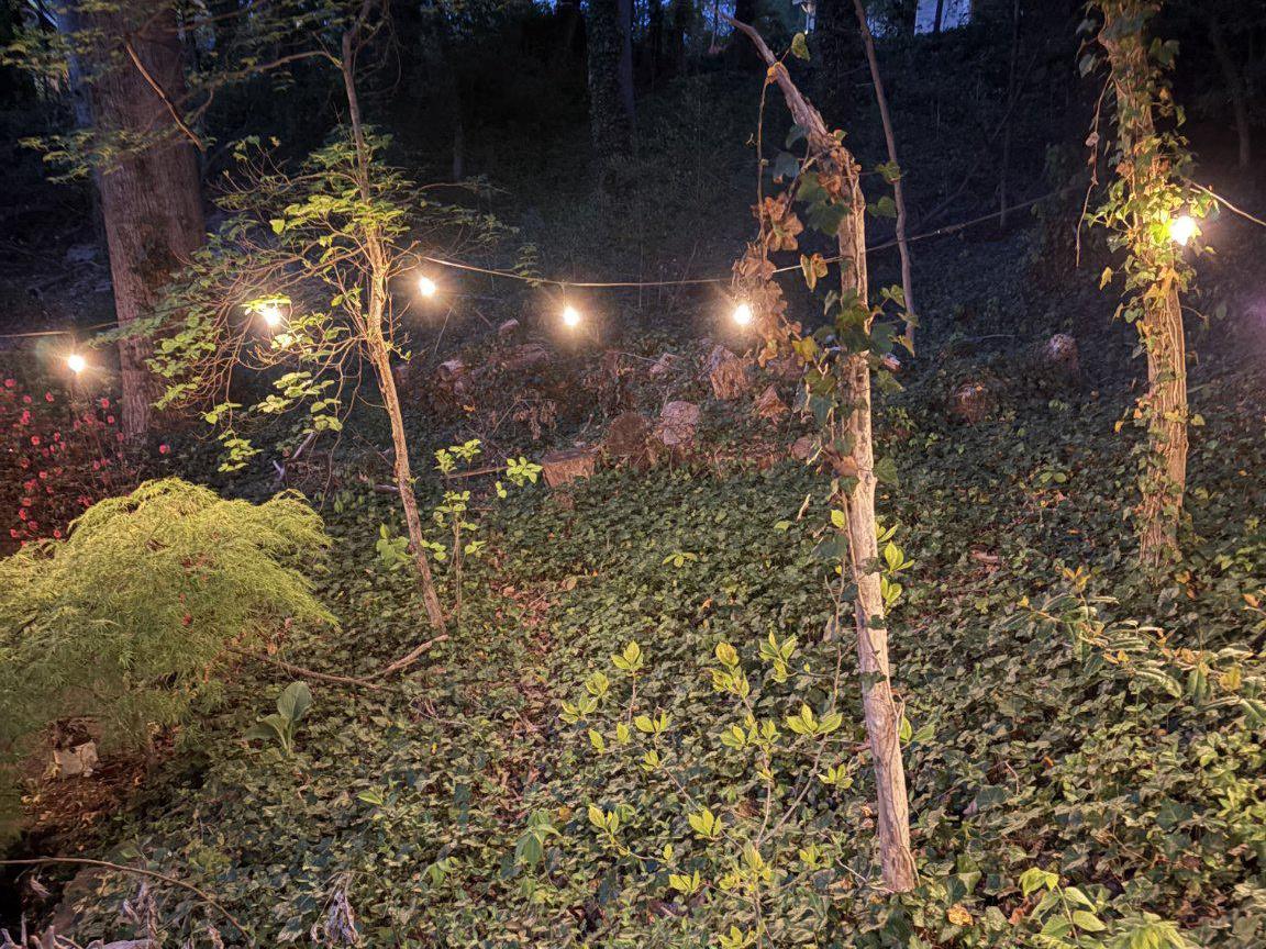 BEN OAKS ON SEVERN - Residential