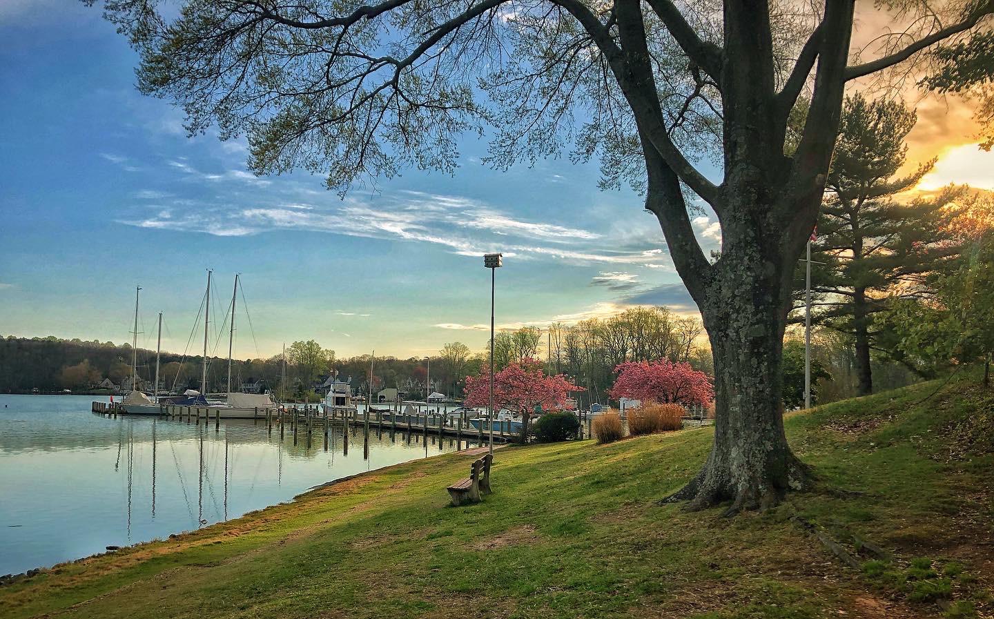 BEN OAKS ON SEVERN - Residential