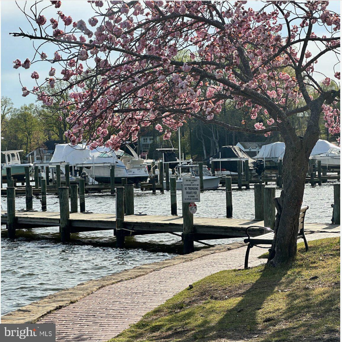 BEN OAKS ON SEVERN - Residential