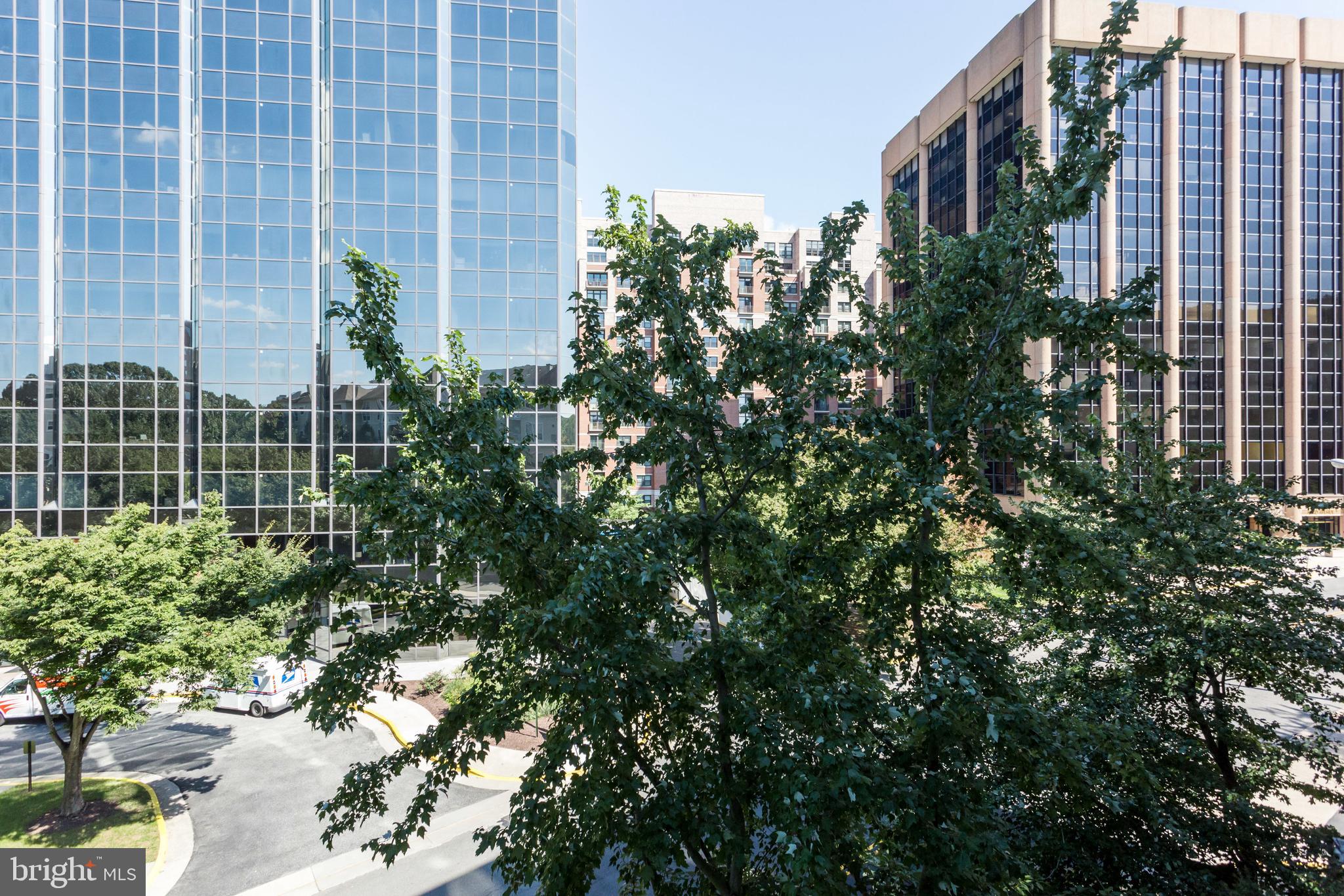 ALEXANDRIA - Residential Lease