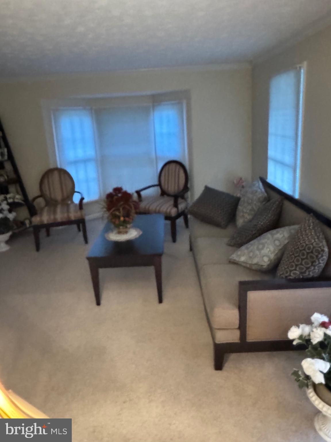 14905 SADDLE CREEK DRIVE