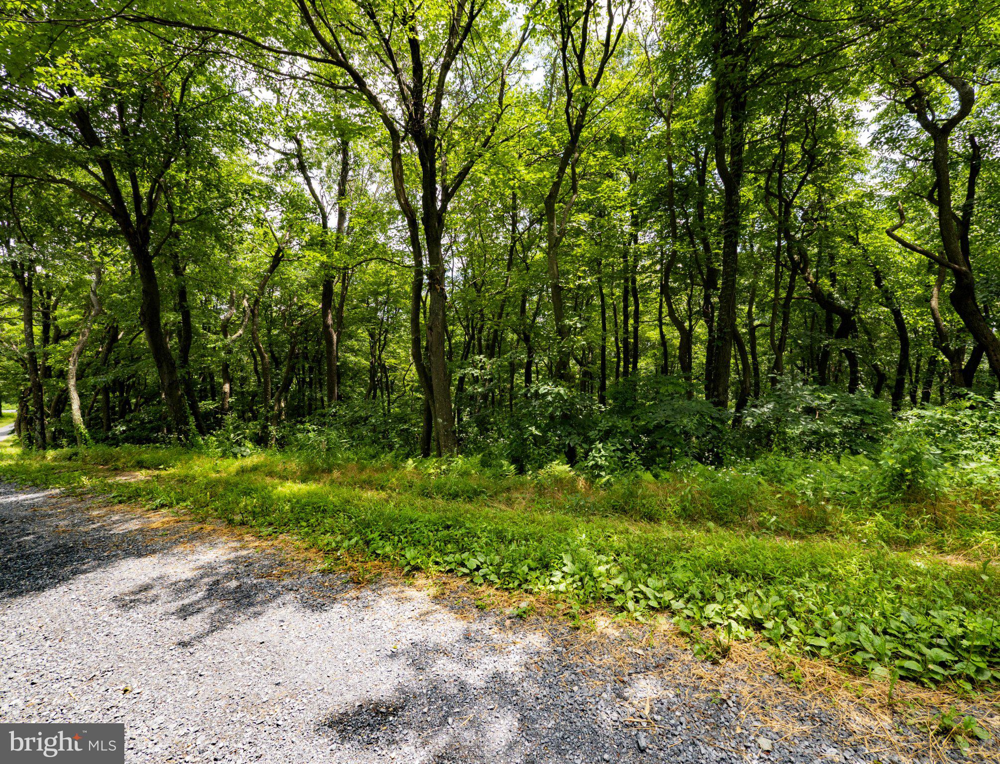 Lots 182-184 ROCKWOOD TRAIL