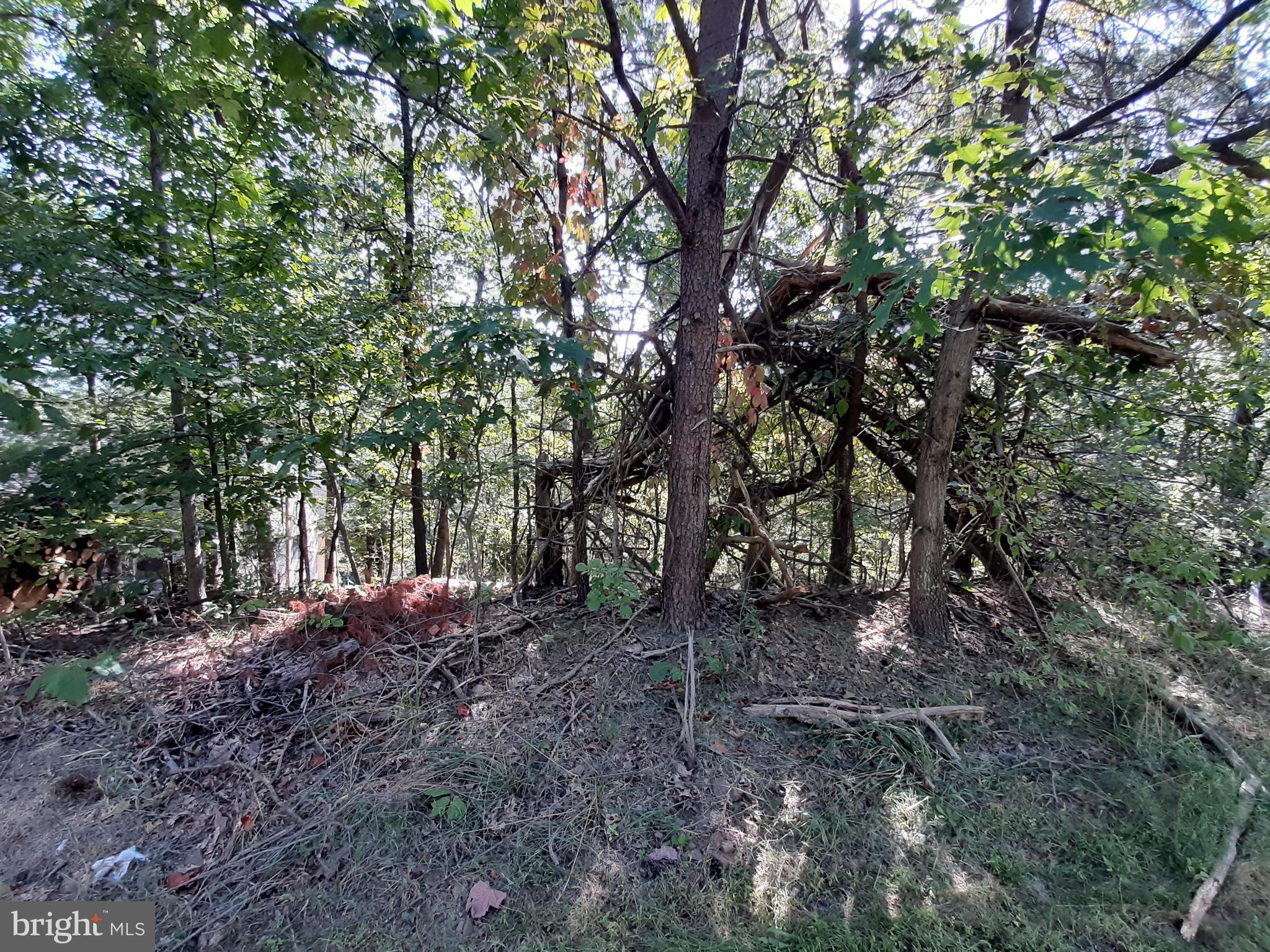 LAKE HOLIDAY ESTATES - Land