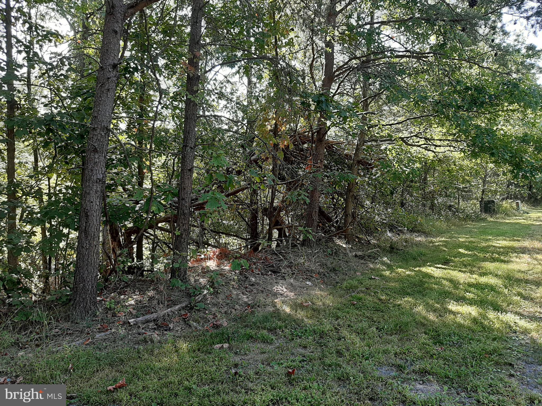 LAKE HOLIDAY ESTATES - Land