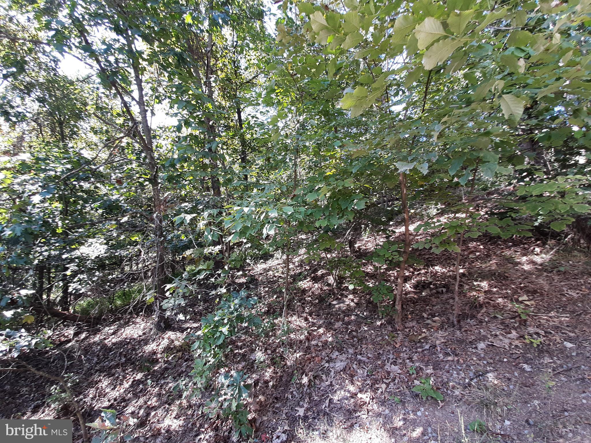 LAKE HOLIDAY ESTATES - Land