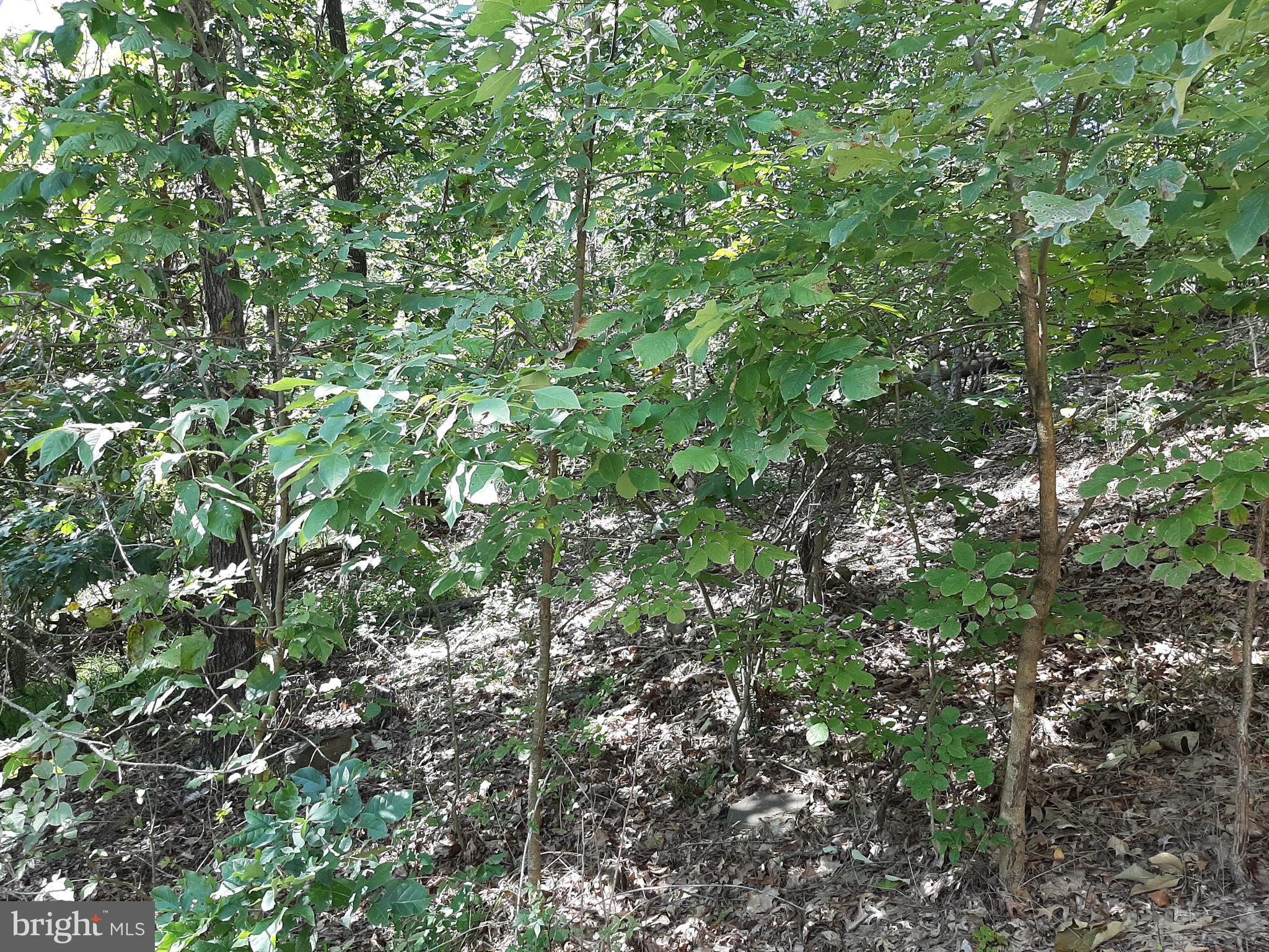 LAKE HOLIDAY ESTATES - Land