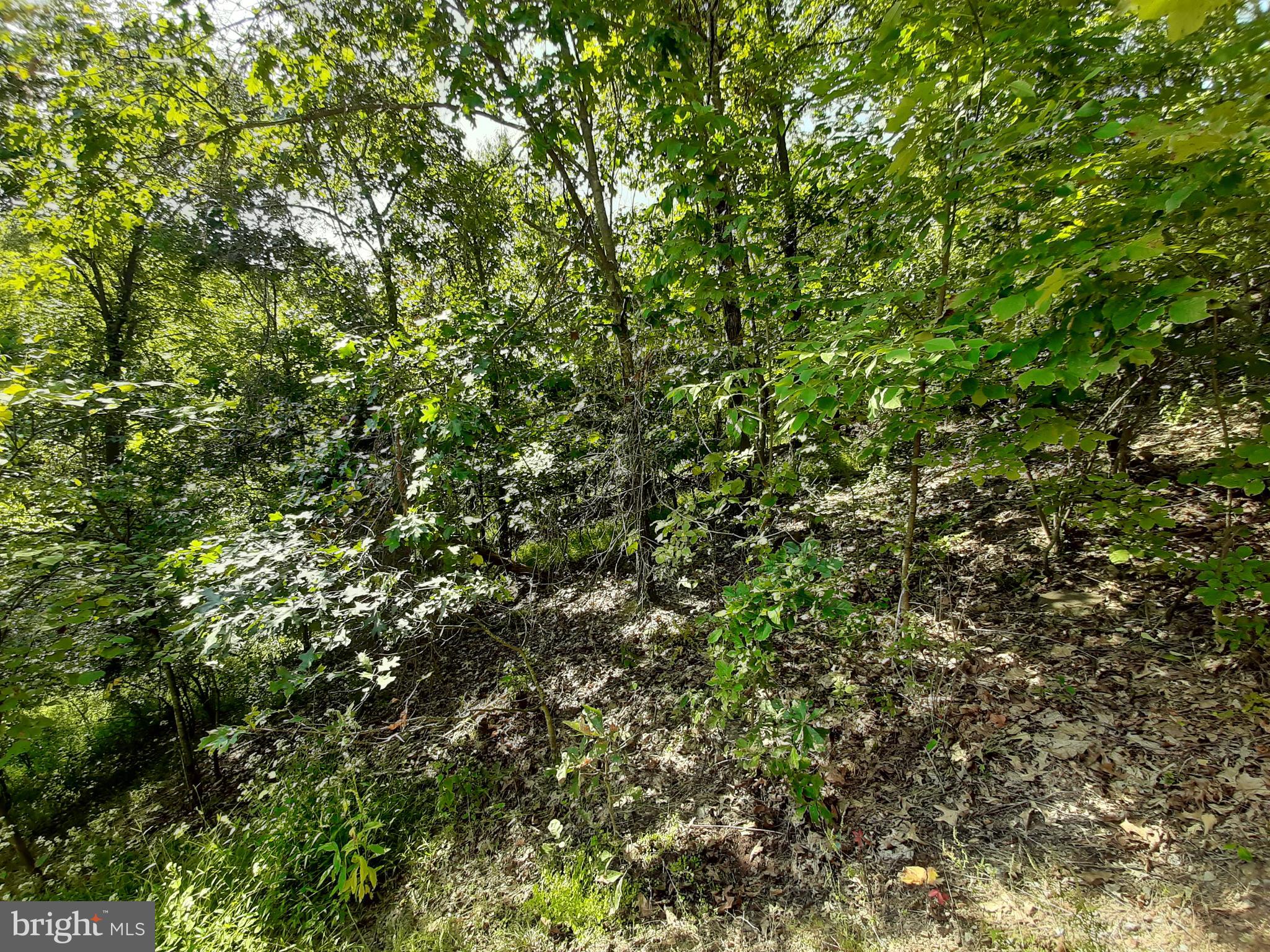 LAKE HOLIDAY ESTATES - Land