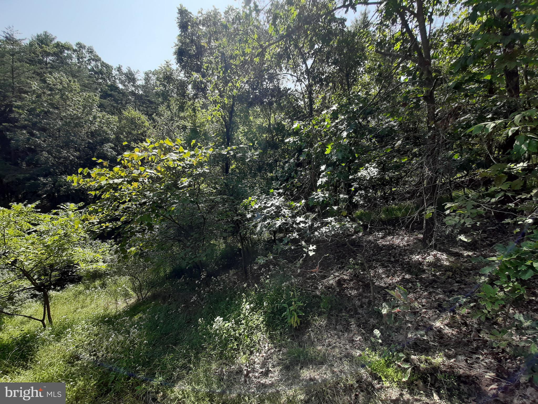 LAKE HOLIDAY ESTATES - Land