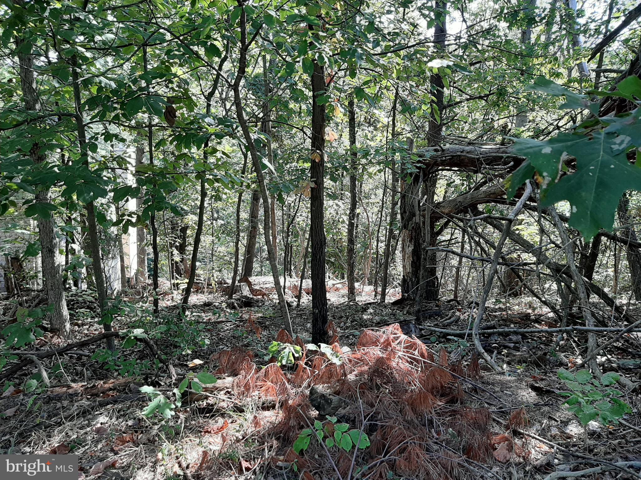 LAKE HOLIDAY ESTATES - Land