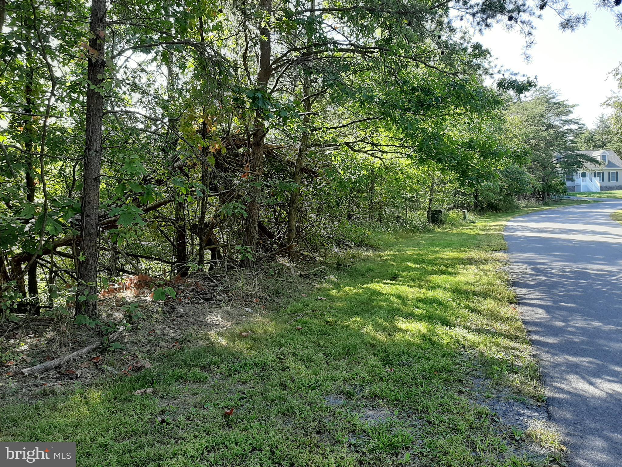 LAKE HOLIDAY ESTATES - Land