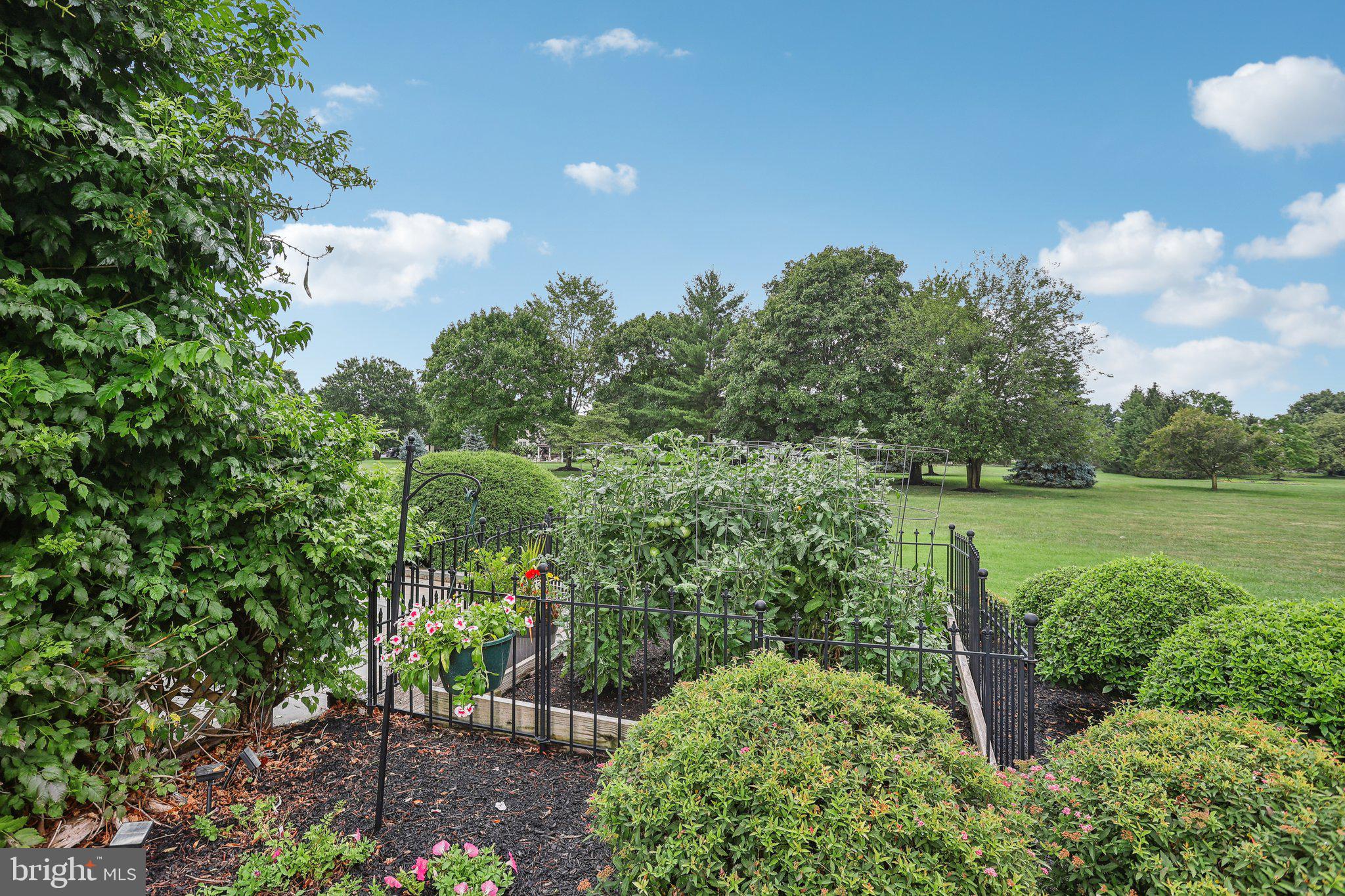 HILLCREST MDWS - Residential