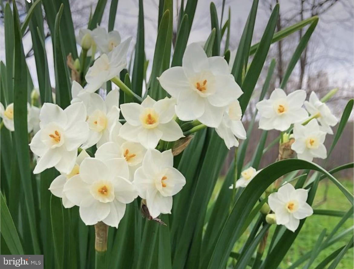 HILLCREST MDWS - Residential