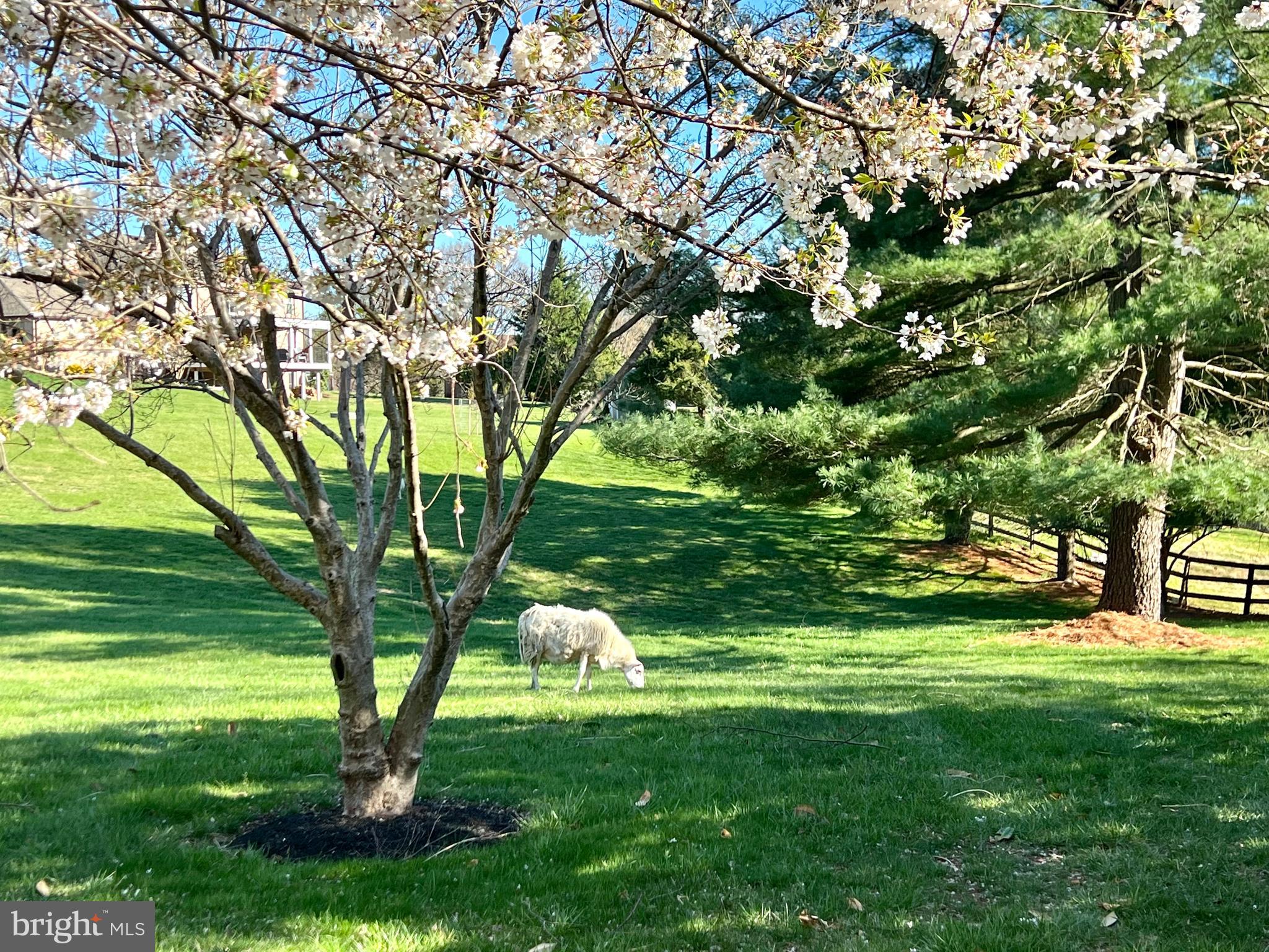 NORBECK KNOLLS - Residential