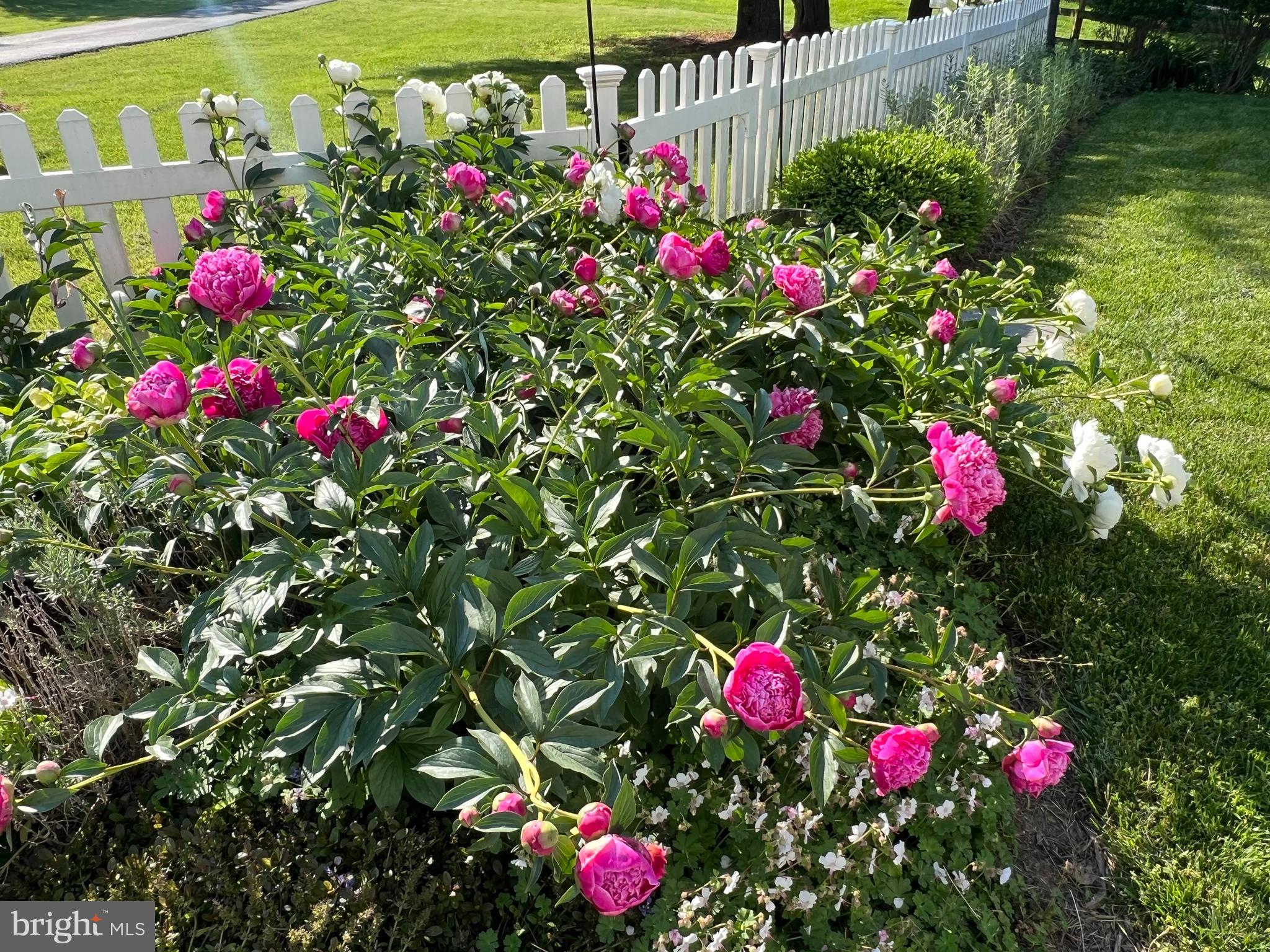 NORBECK KNOLLS - Residential