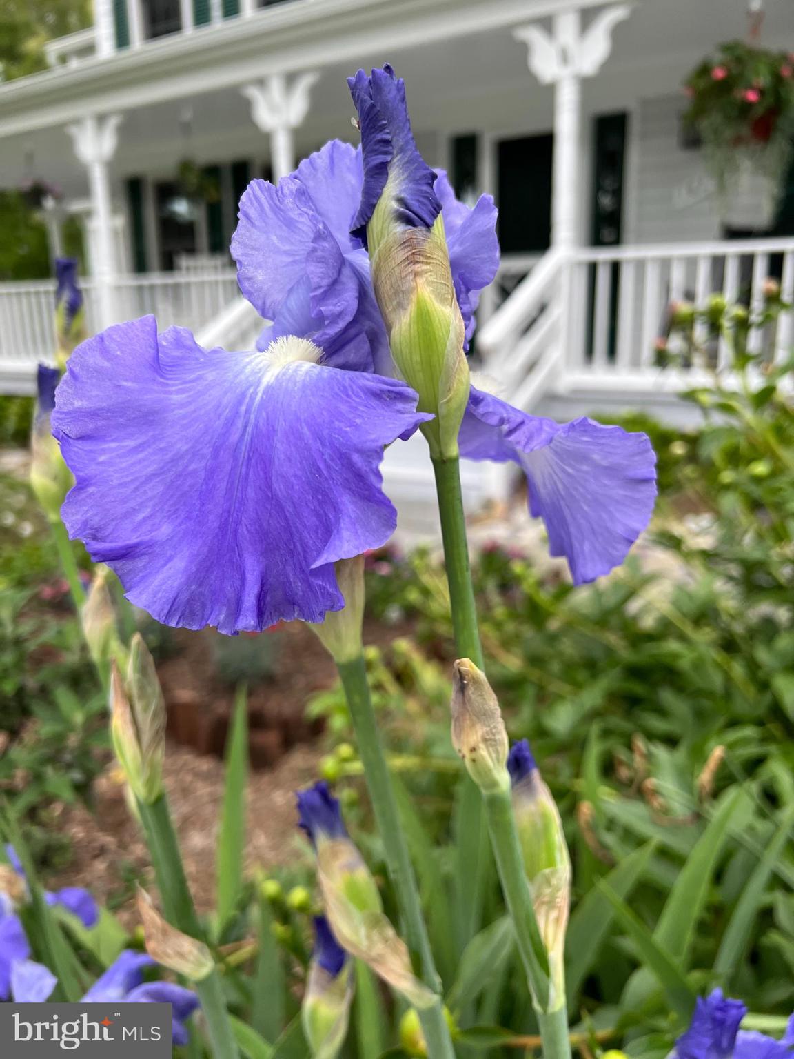 NORBECK KNOLLS - Residential