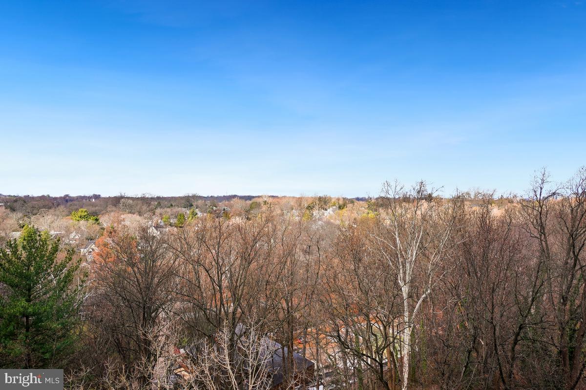 FRIENDSHIP HEIGHTS - Residential