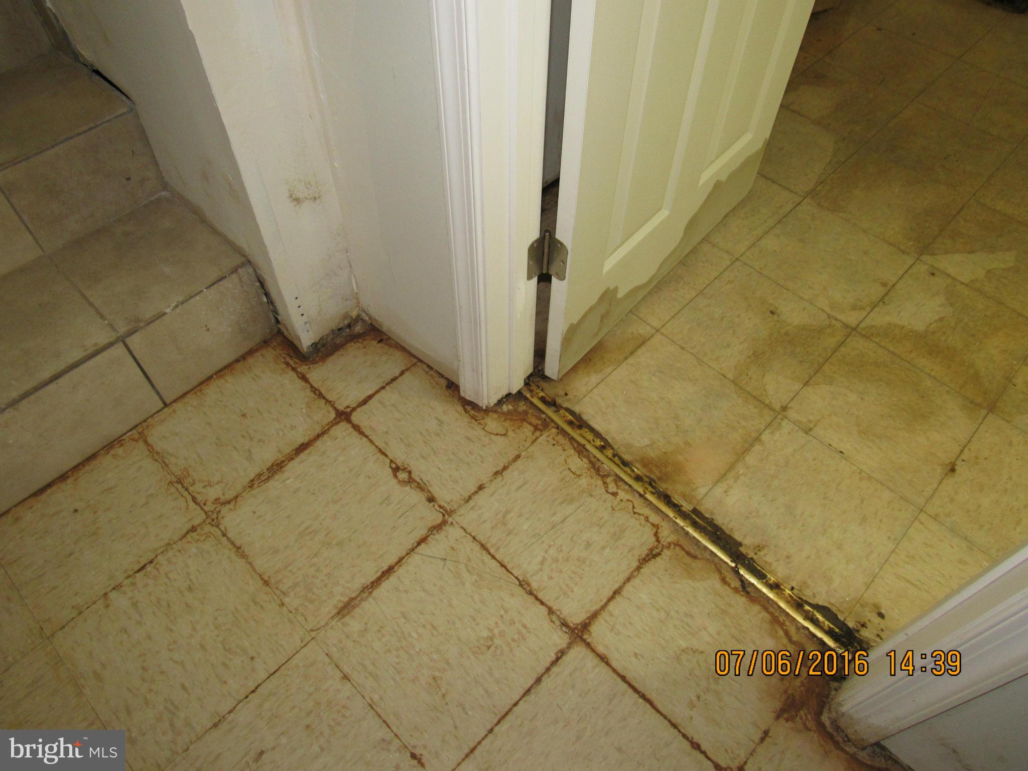 GOOD LUCK ESTATES - Residential