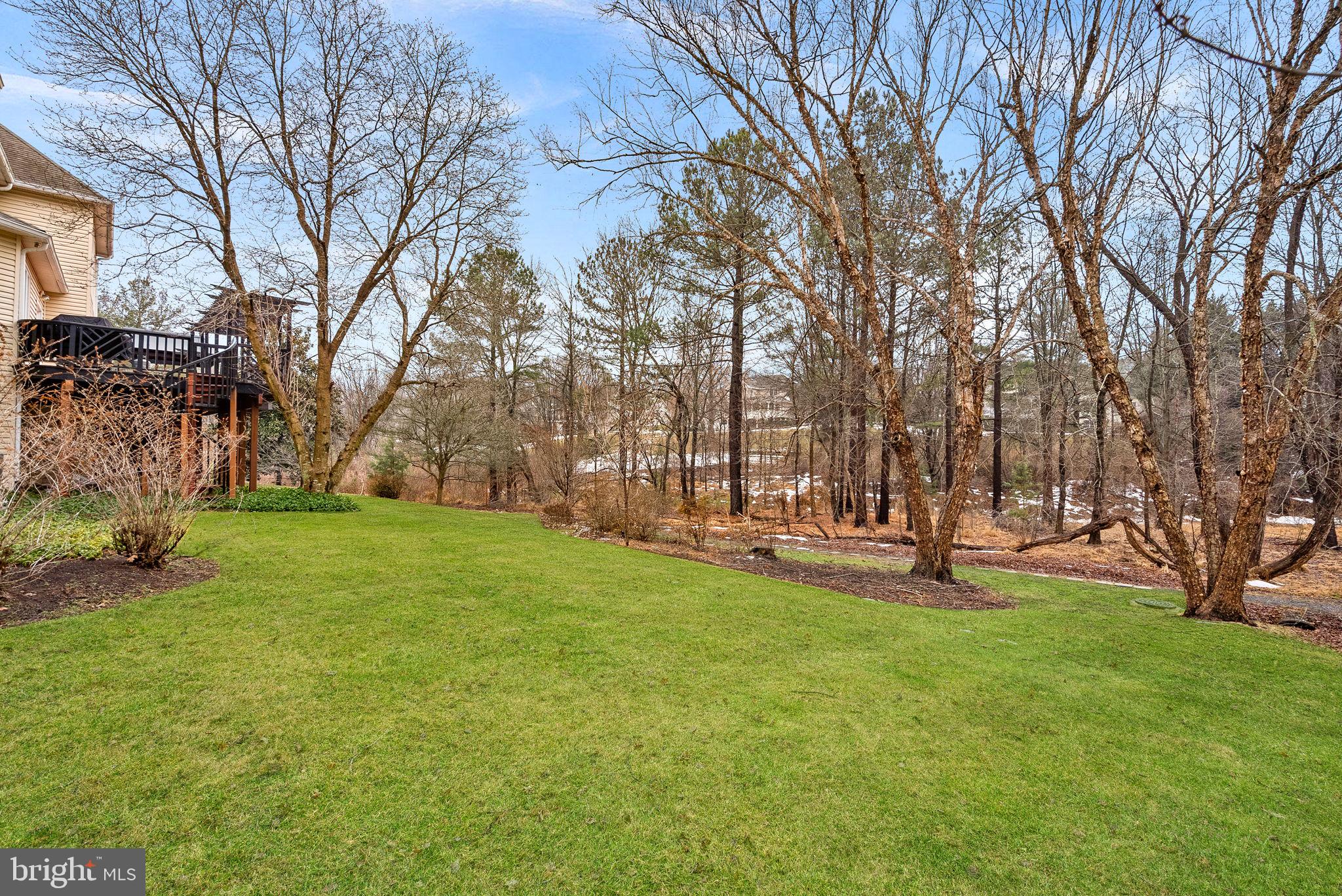 HUNTER MILL ESTATES - Residential