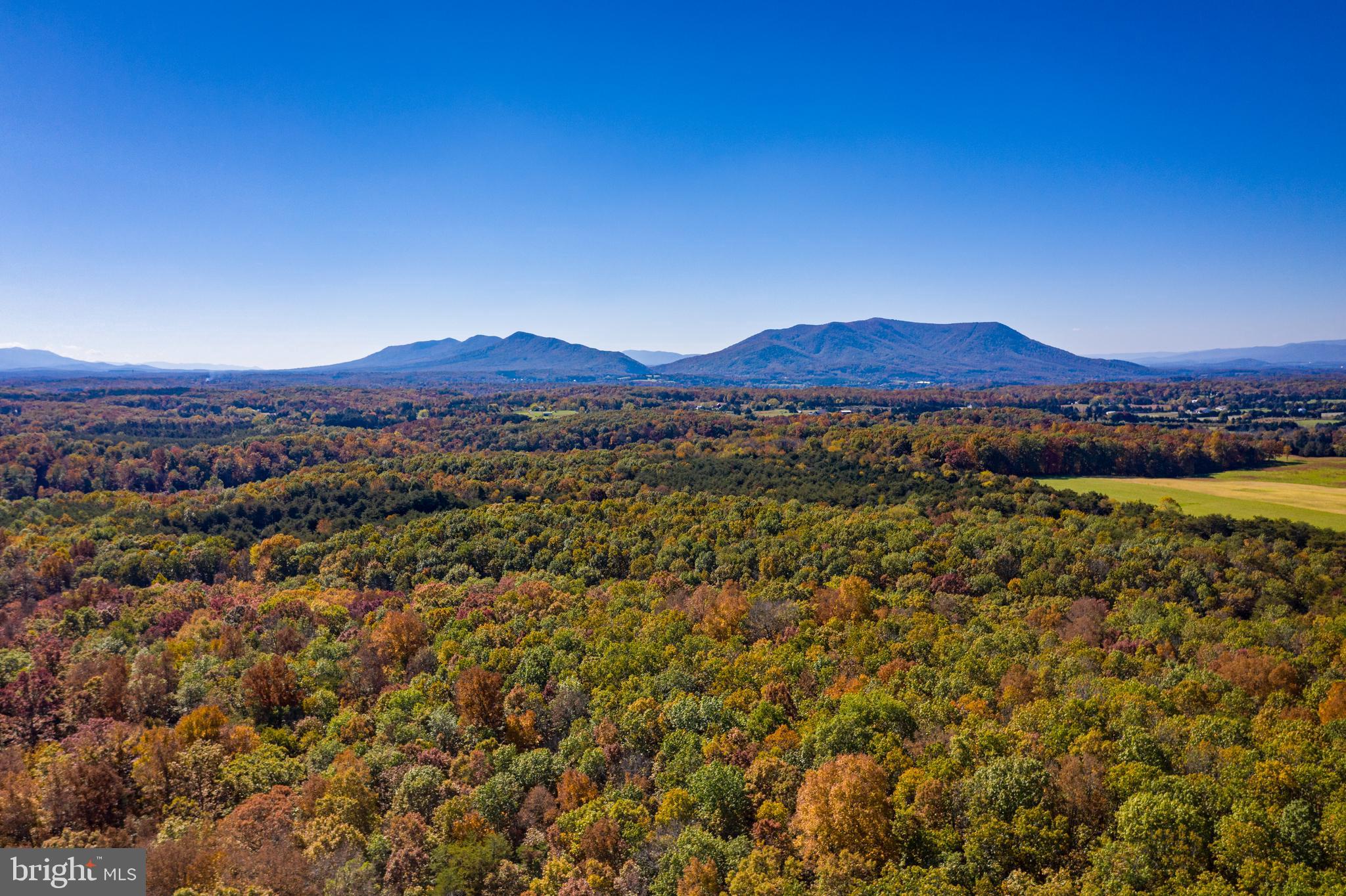 ROYAL OAK ESTATES - Land