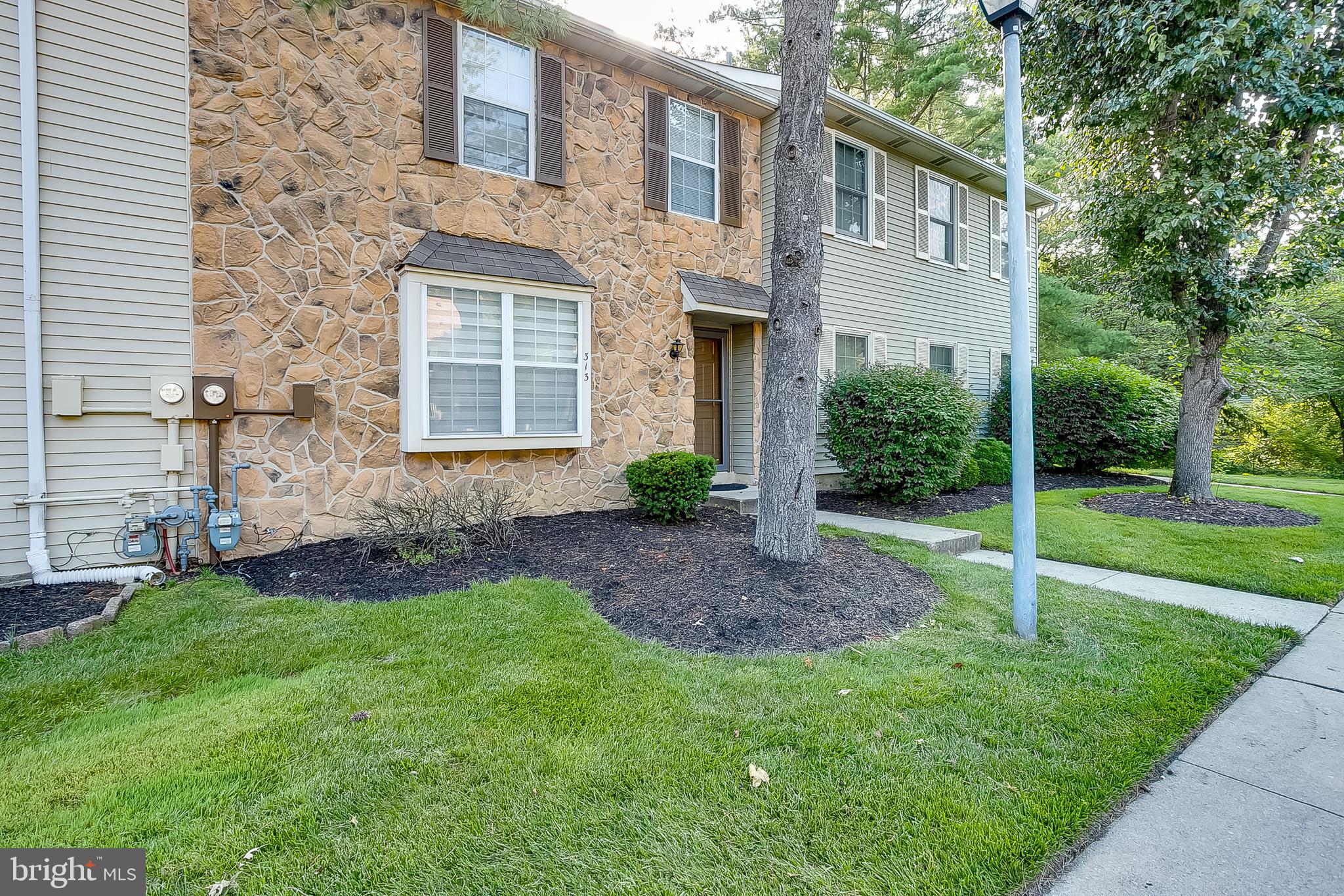 313 FOUNTAIN HALL CT