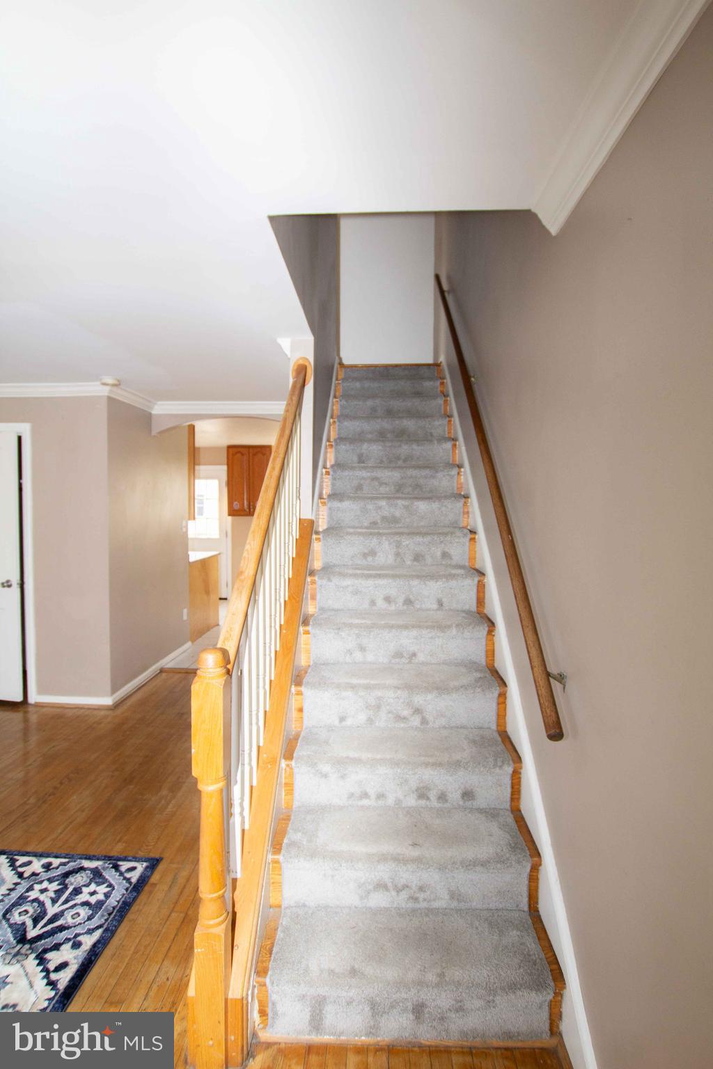 BUCKNELL MANOR - Residential