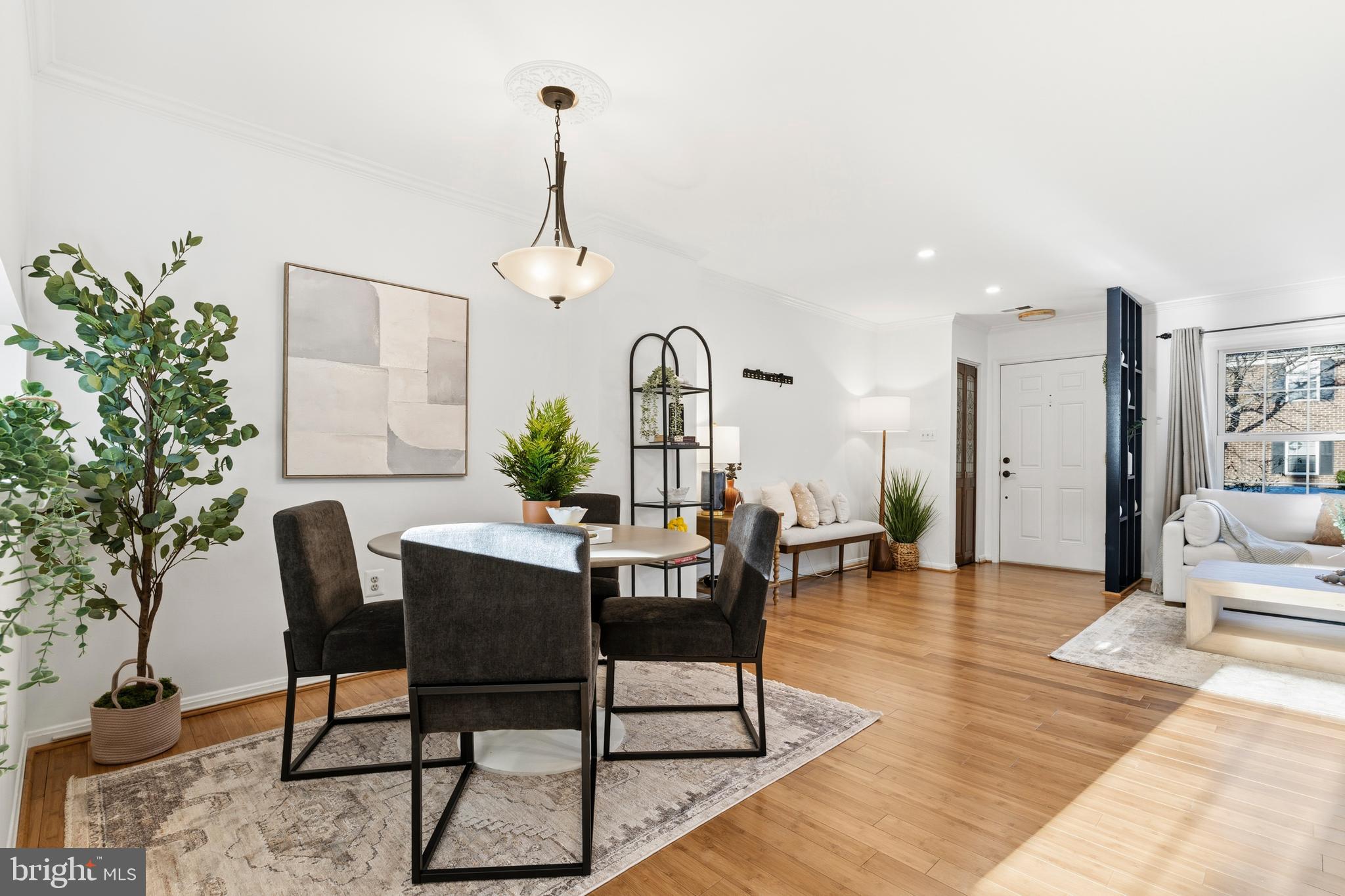 OLD TOWN ALEXANDRIA - Residential