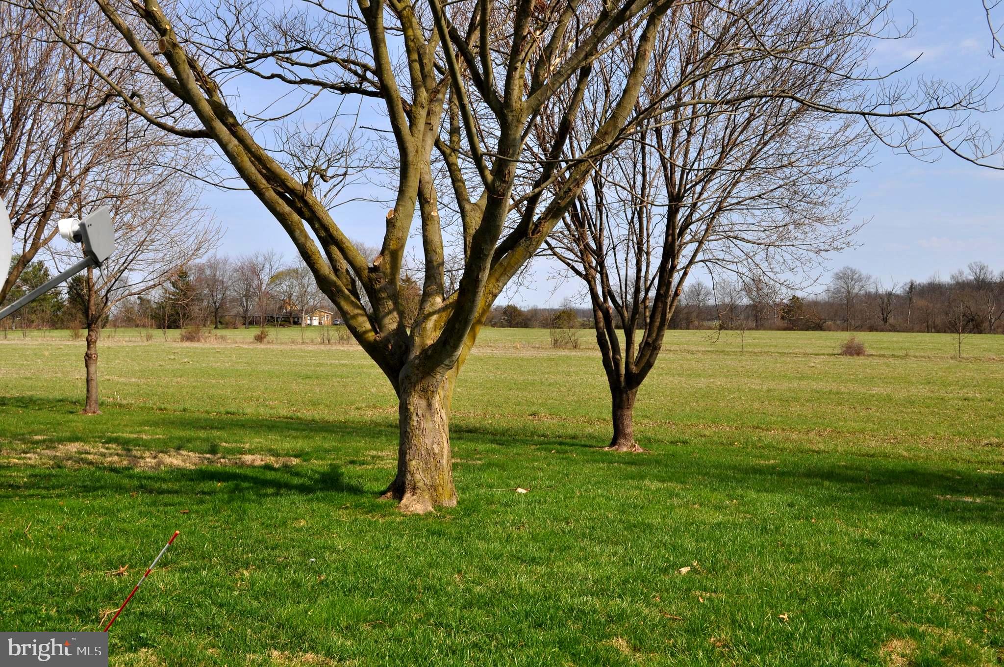 ALLWOOD MANOR - Residential