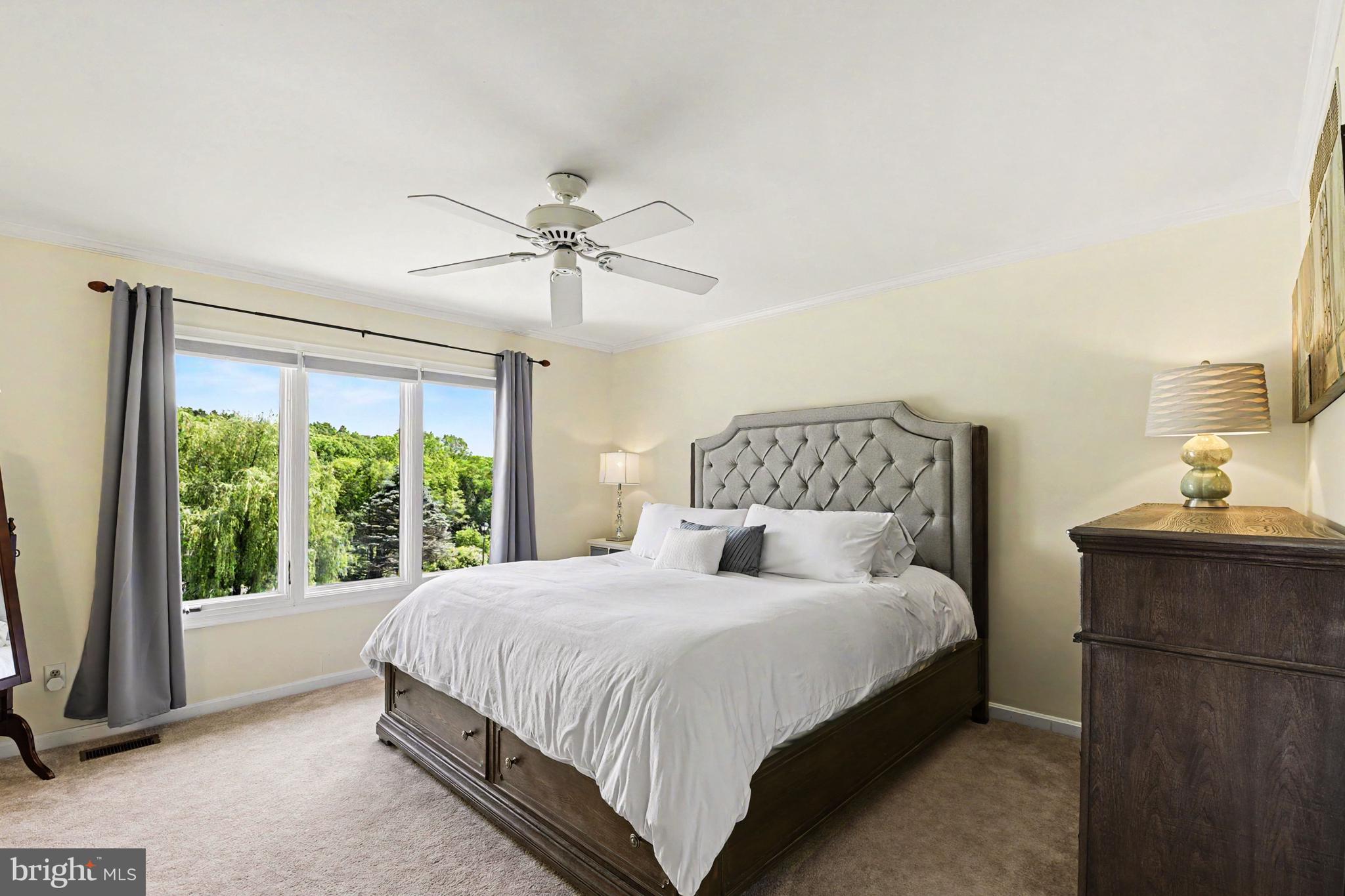 SHANE VALLEY - Residential