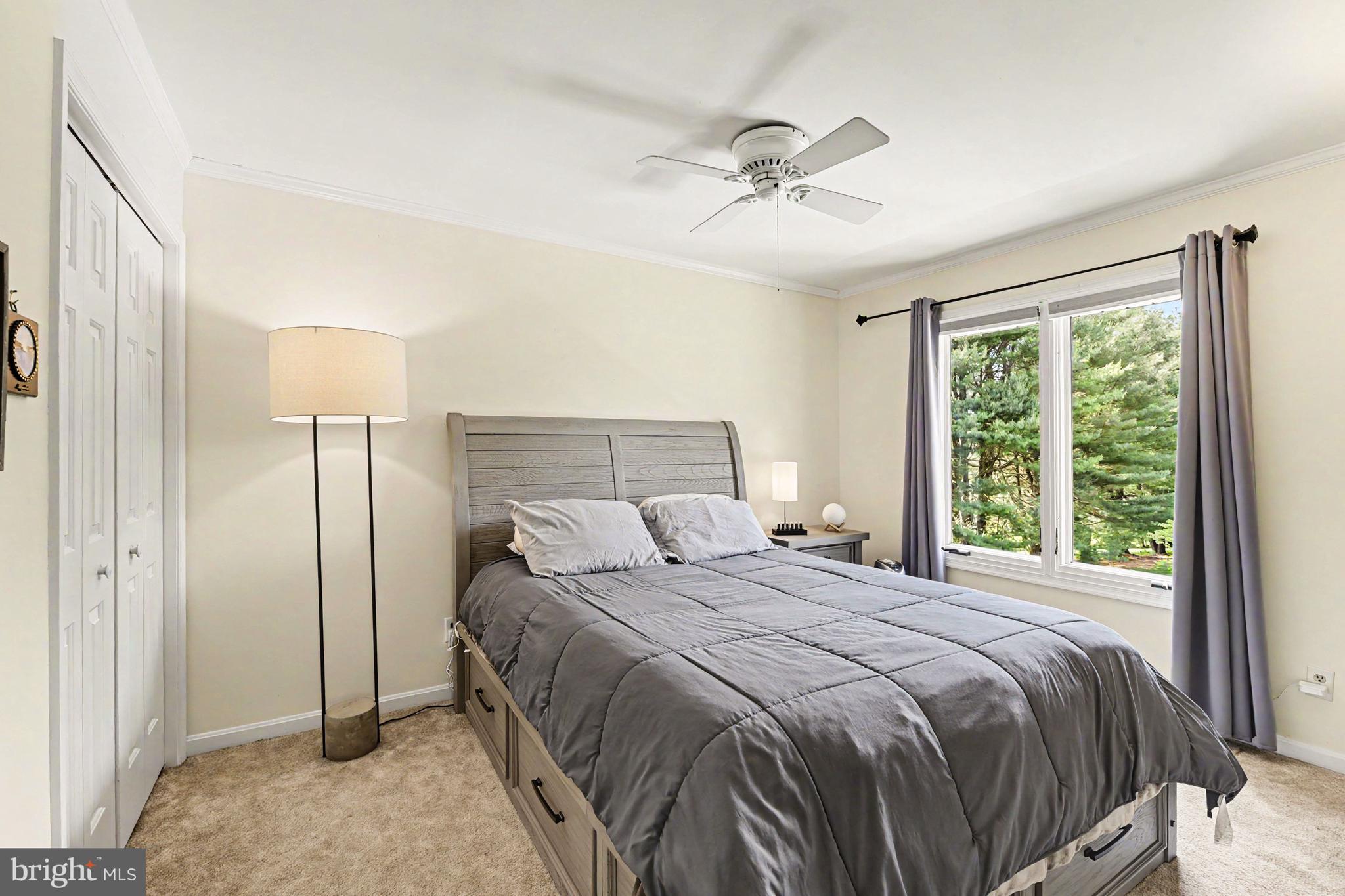 SHANE VALLEY - Residential