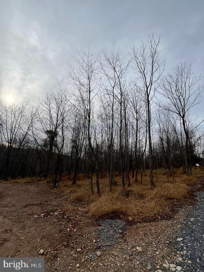 LOT 1 WOODVILLE RD WALBERT